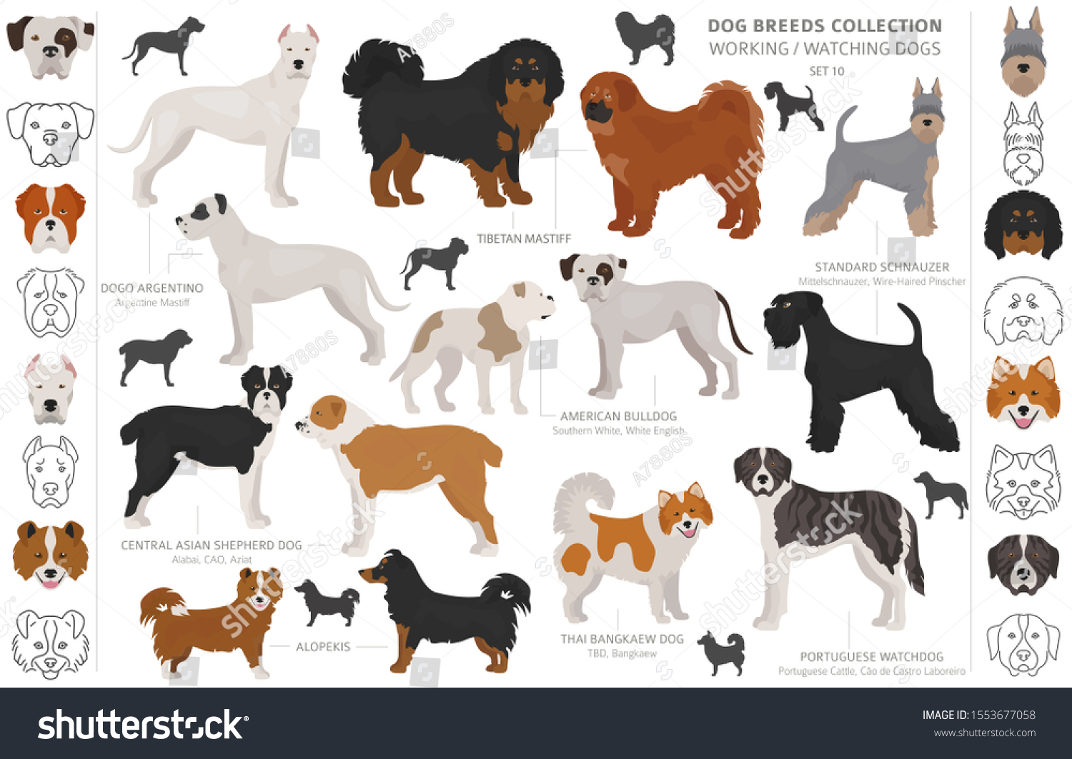 Working Service Watching Dogs Collection Isolated Stock Vector (Royalty ...