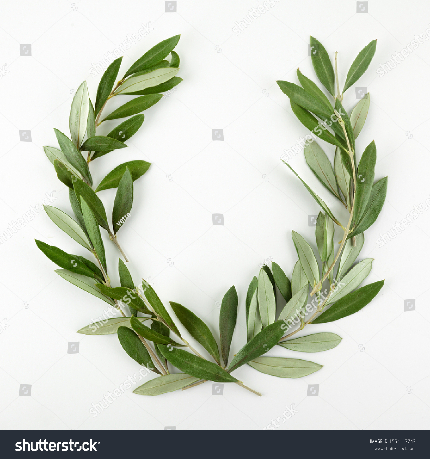 Green Olive Wreath On White Background Stock Photo 1554117743