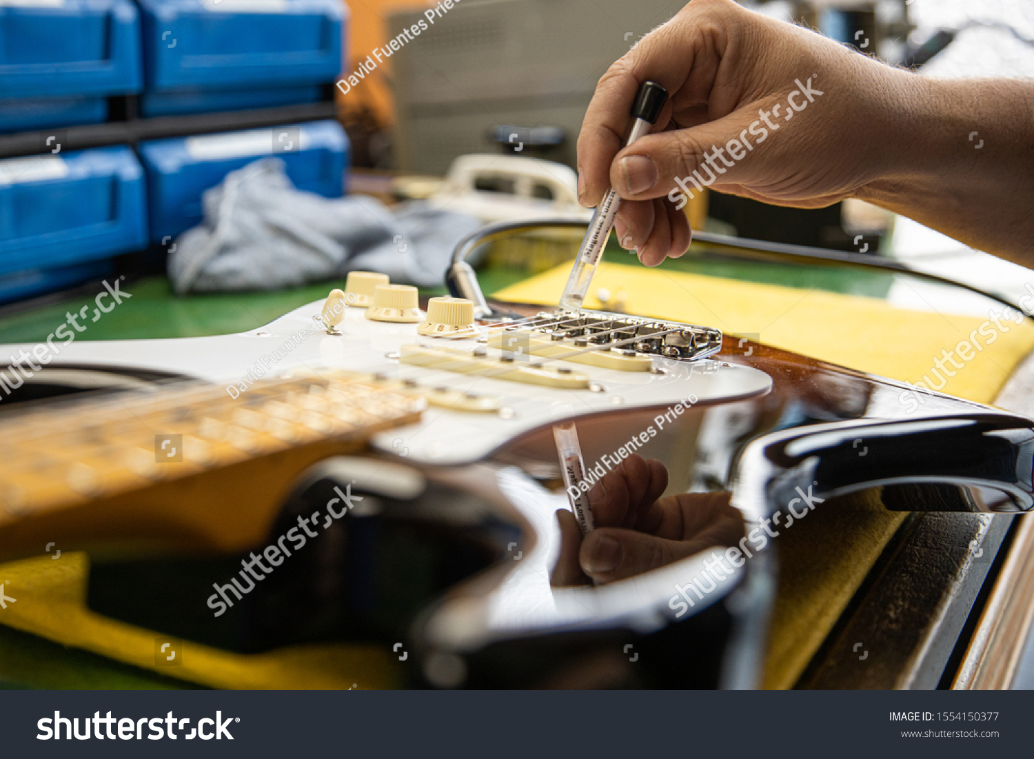 the electric luthier