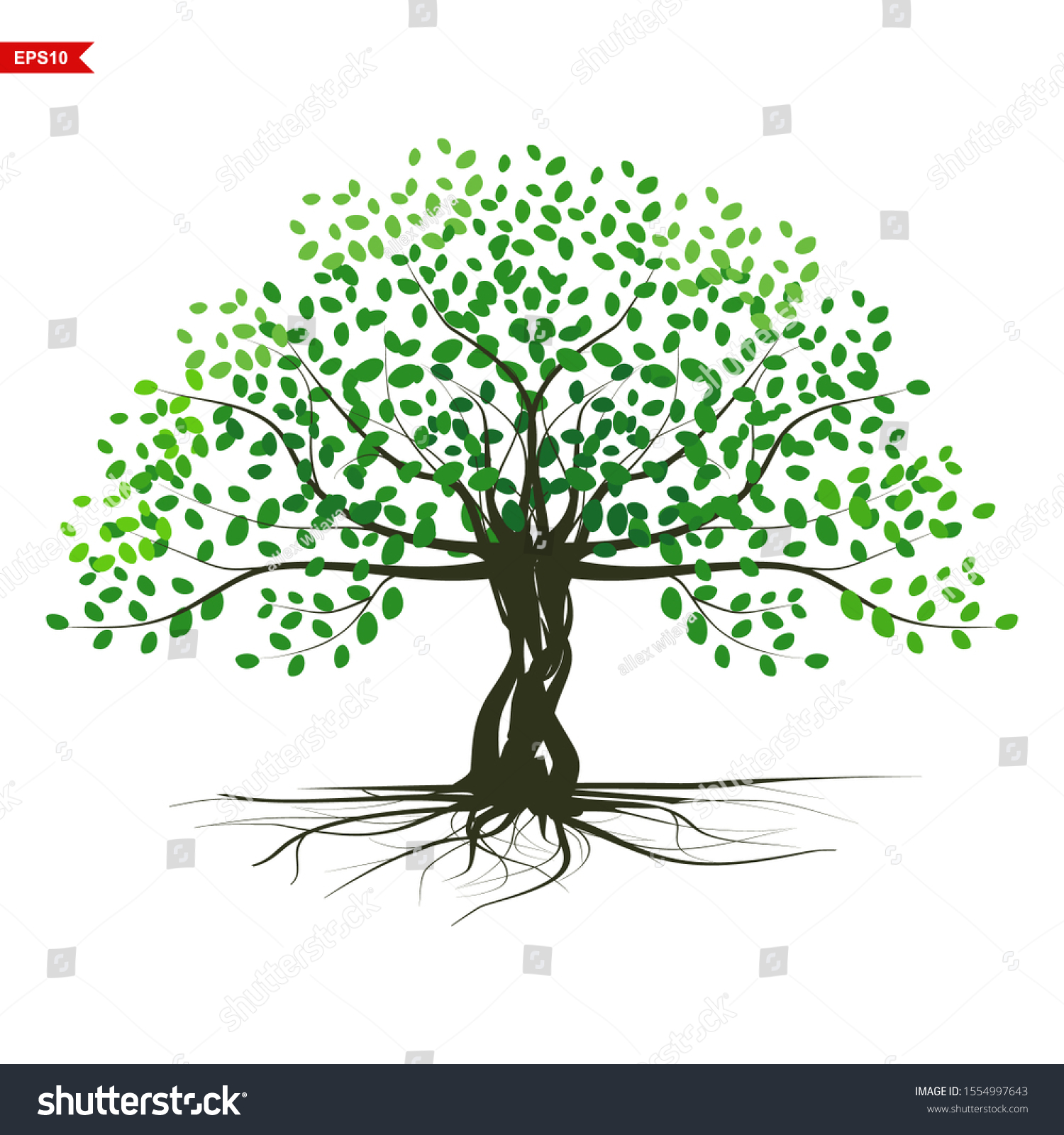 Rooted Mangrove Plants Green Leaves White Stock Vector (Royalty Free ...