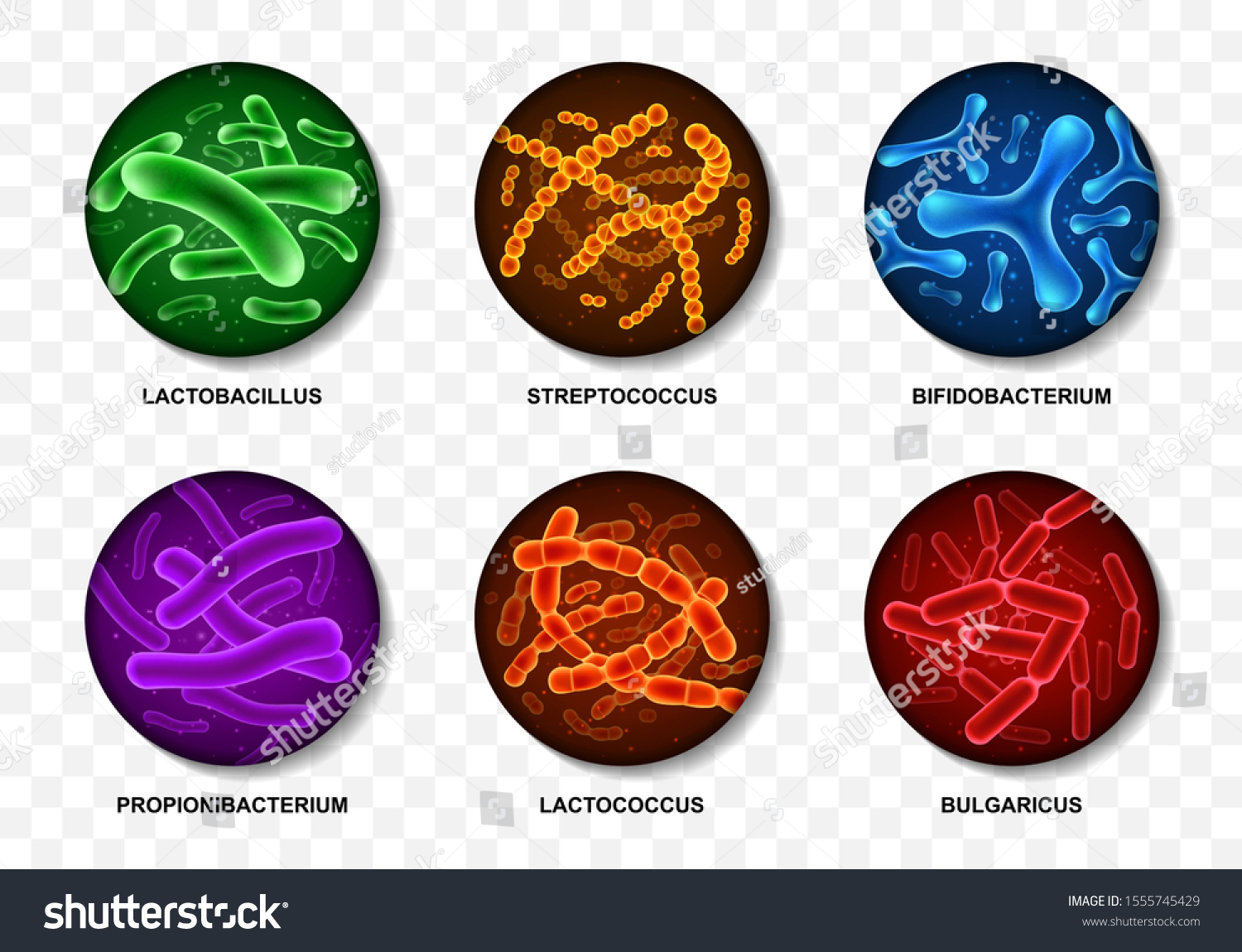 Set Probiotic Bacteria Good Microorganisms Concept Stock Vector