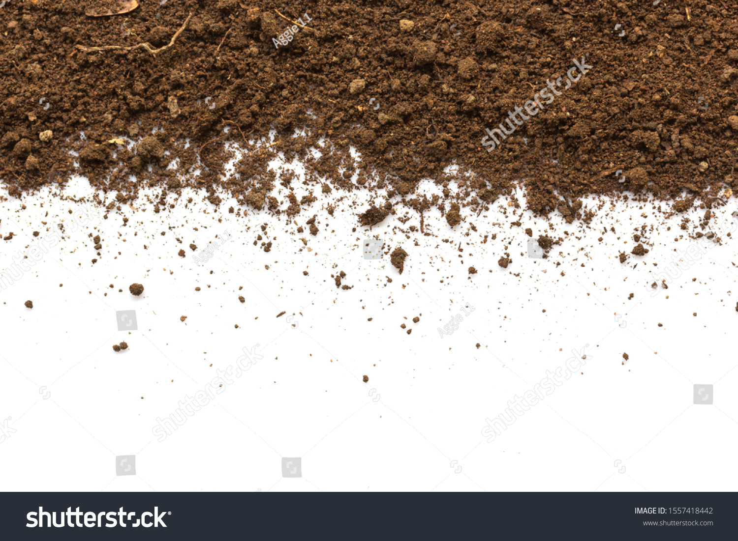 Dirty Earth On White Background Natural Stock Photo 1557418442 ...