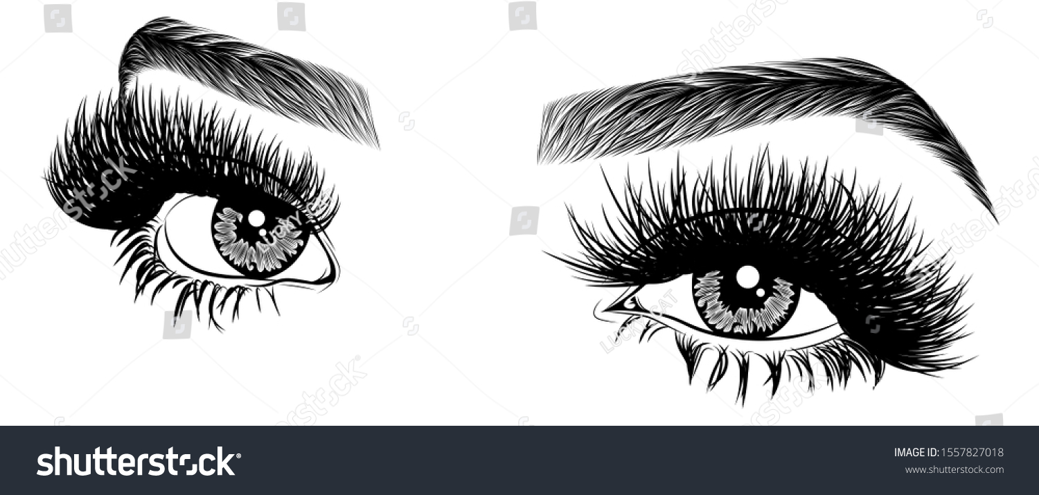 Illustration Womans Eyes Eyelashes Eyebrows Realistic Stock Vector Royalty Free 1557827018 4112