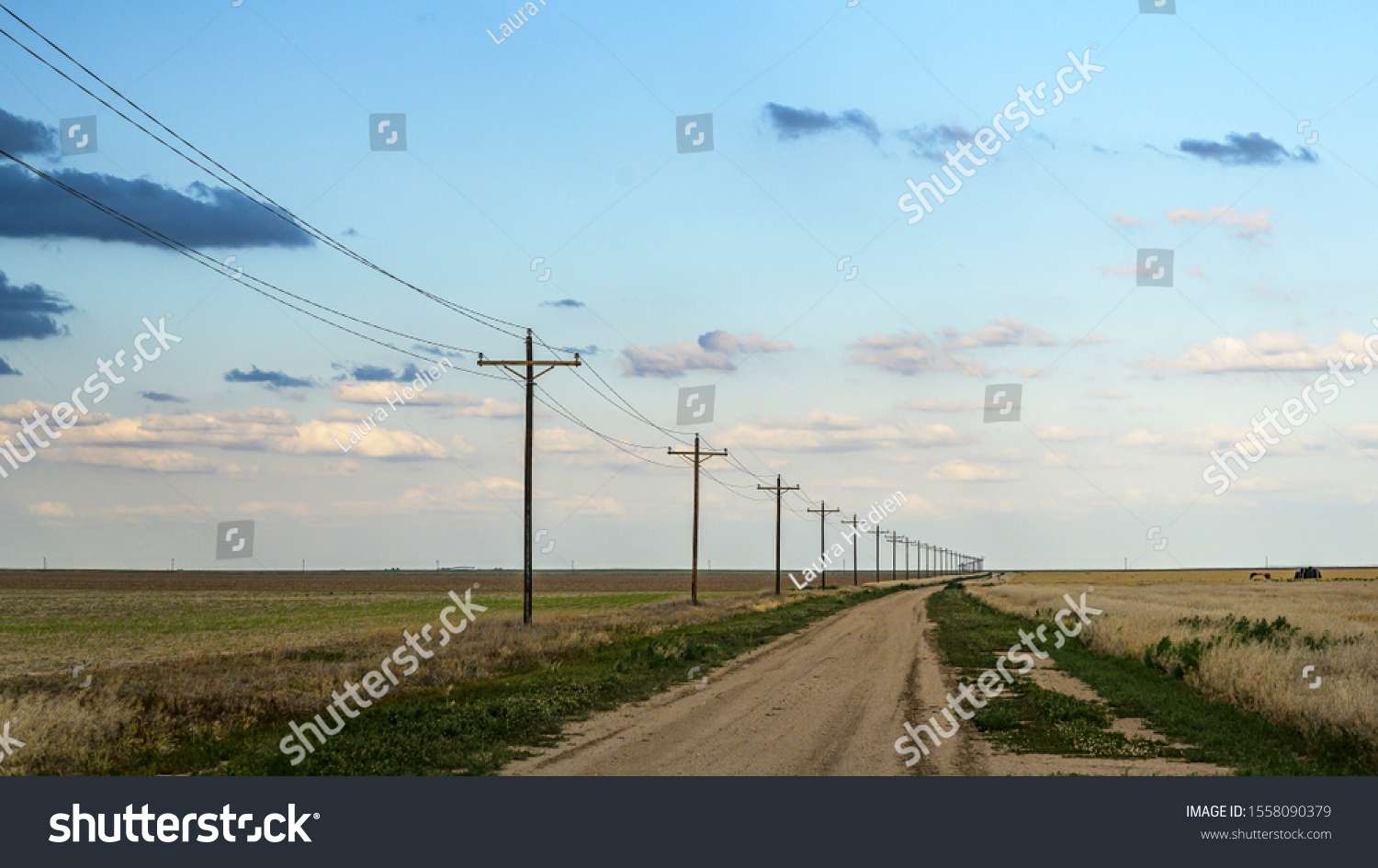 Symmetrical Pattern Utility Poles On Gravel Stock Photo 1558090379 ...