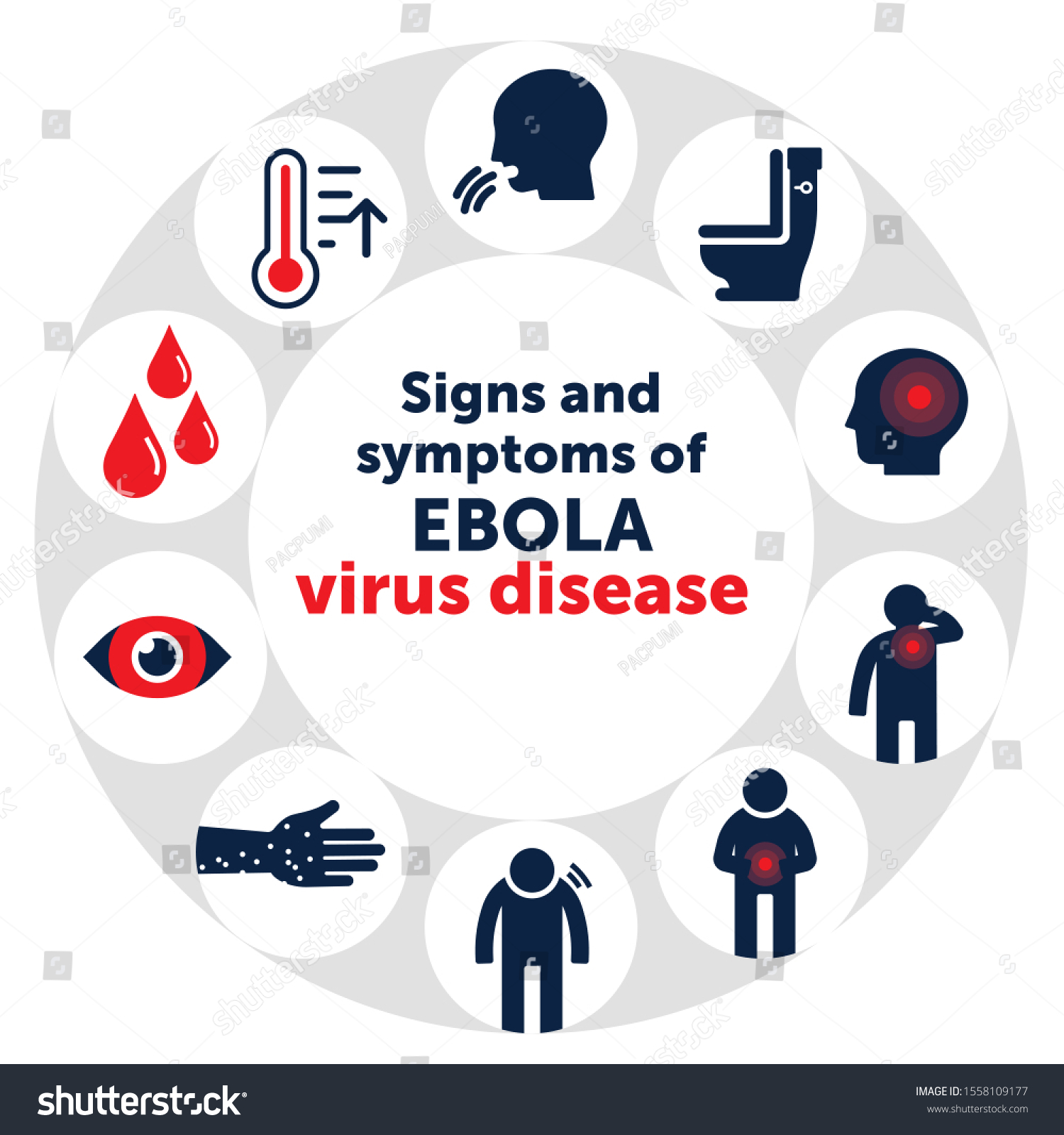 Ebola Signs Symptom Infographic Stock Vector (Royalty Free) 1558109177 ...