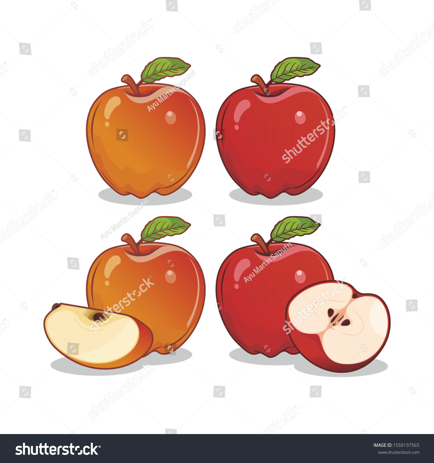 Red Apple Fruits Illustration Vector Stock Vector Royalty Free 1559197565 Shutterstock 0480