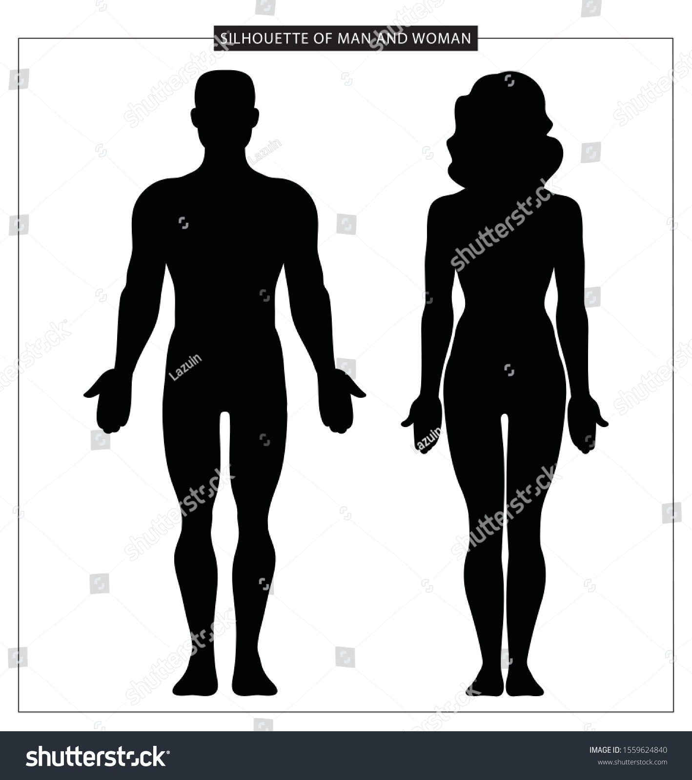 Male Female Body Vector Silhouette Man Stock Vector (Royalty Free ...