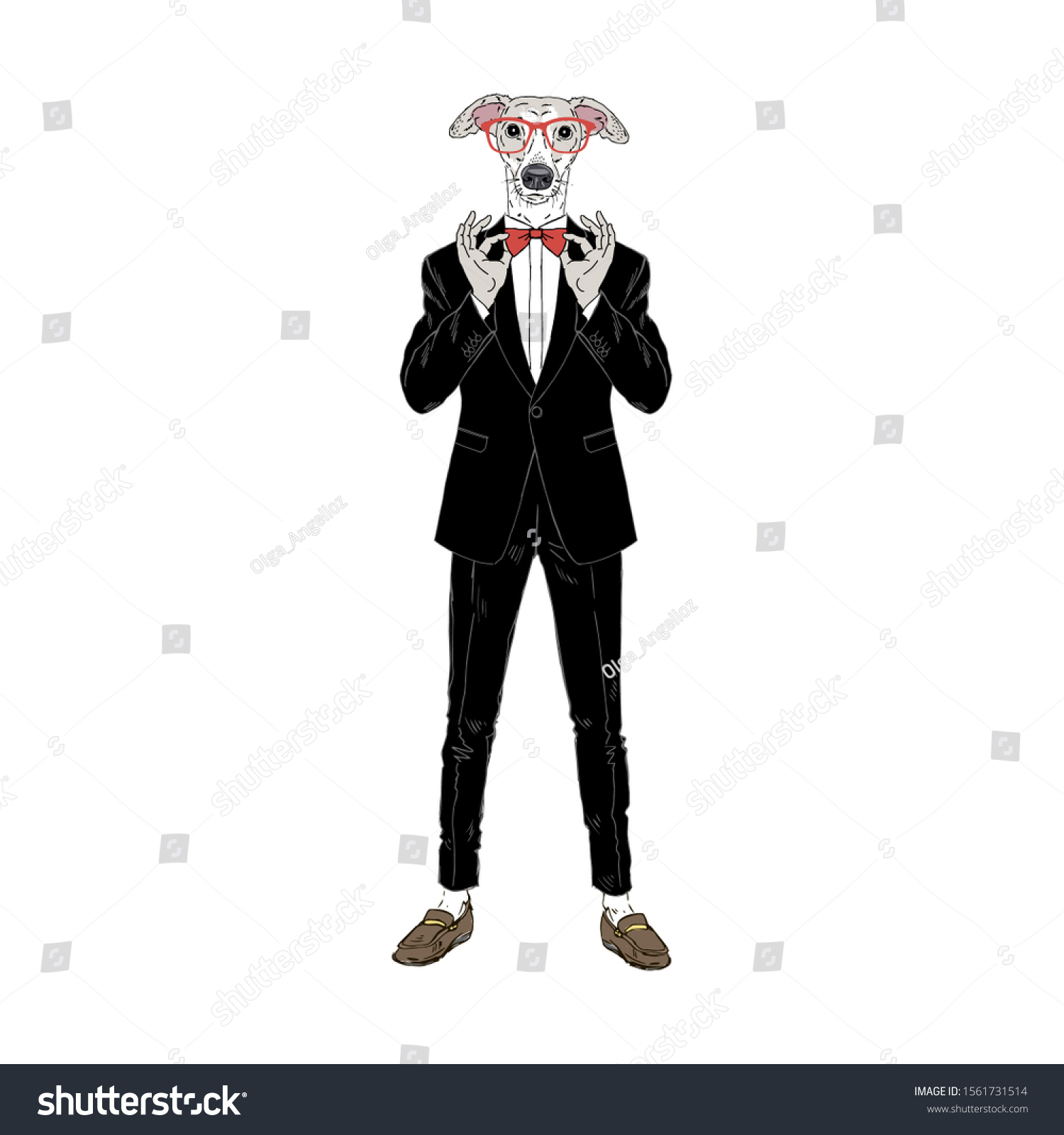 Humanized Italian Greyhound Breed Dog Dressed Stock Vector (Royalty ...