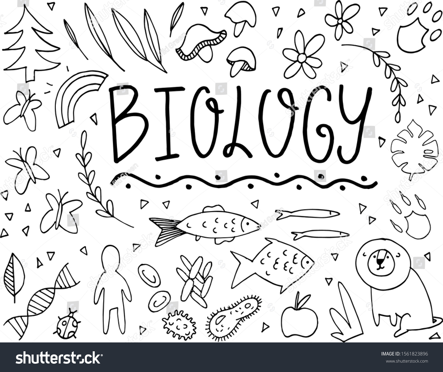 Biology Doodle Vector Stock Vector (royalty Free) 1561823896 