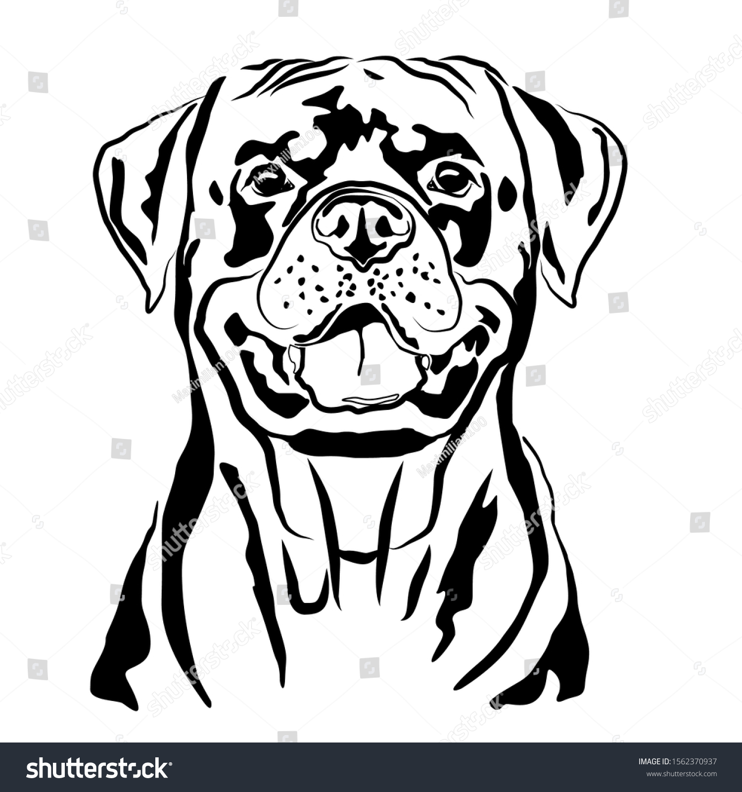 756 Sketches Rottweilers Images, Stock Photos & Vectors | Shutterstock