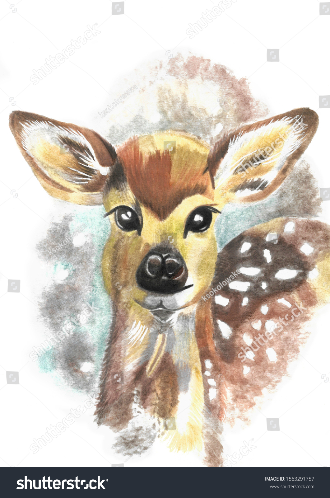 doe watercolor