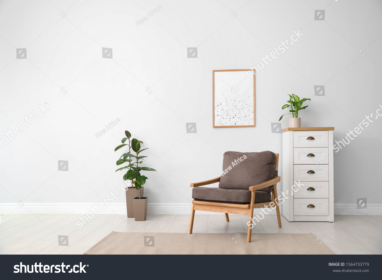 Beautiful Home Plants Stylish Room Interior Stock Photo 1564733779 ...