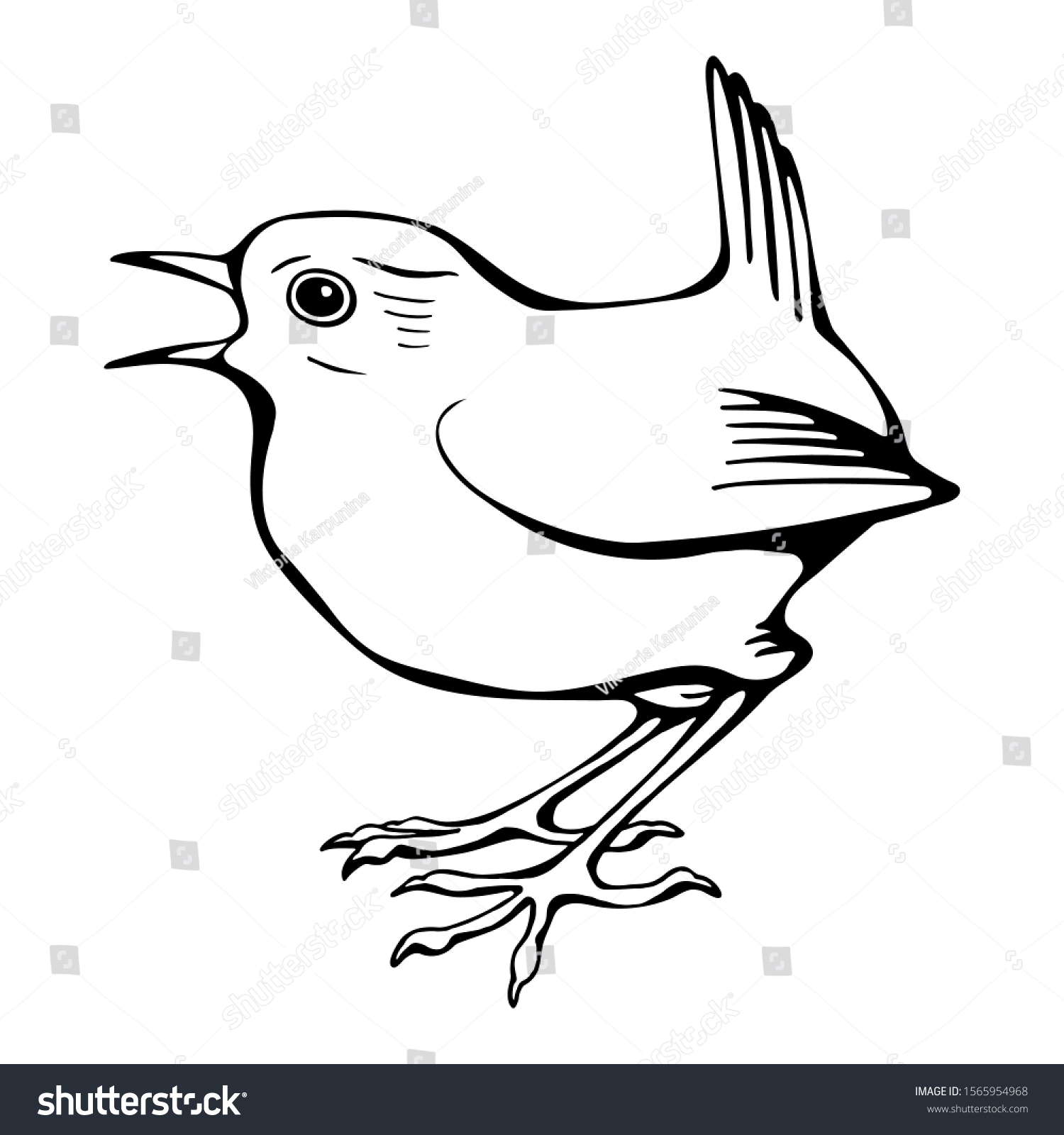 Hand Drawn Black White Vector Wren Stock Vector (Royalty Free ...