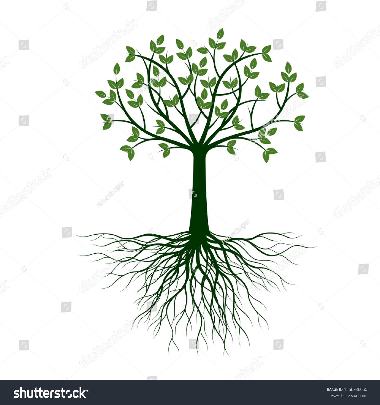 Green Tree Leaves Roots Vector Outline Stock Vector (Royalty Free ...