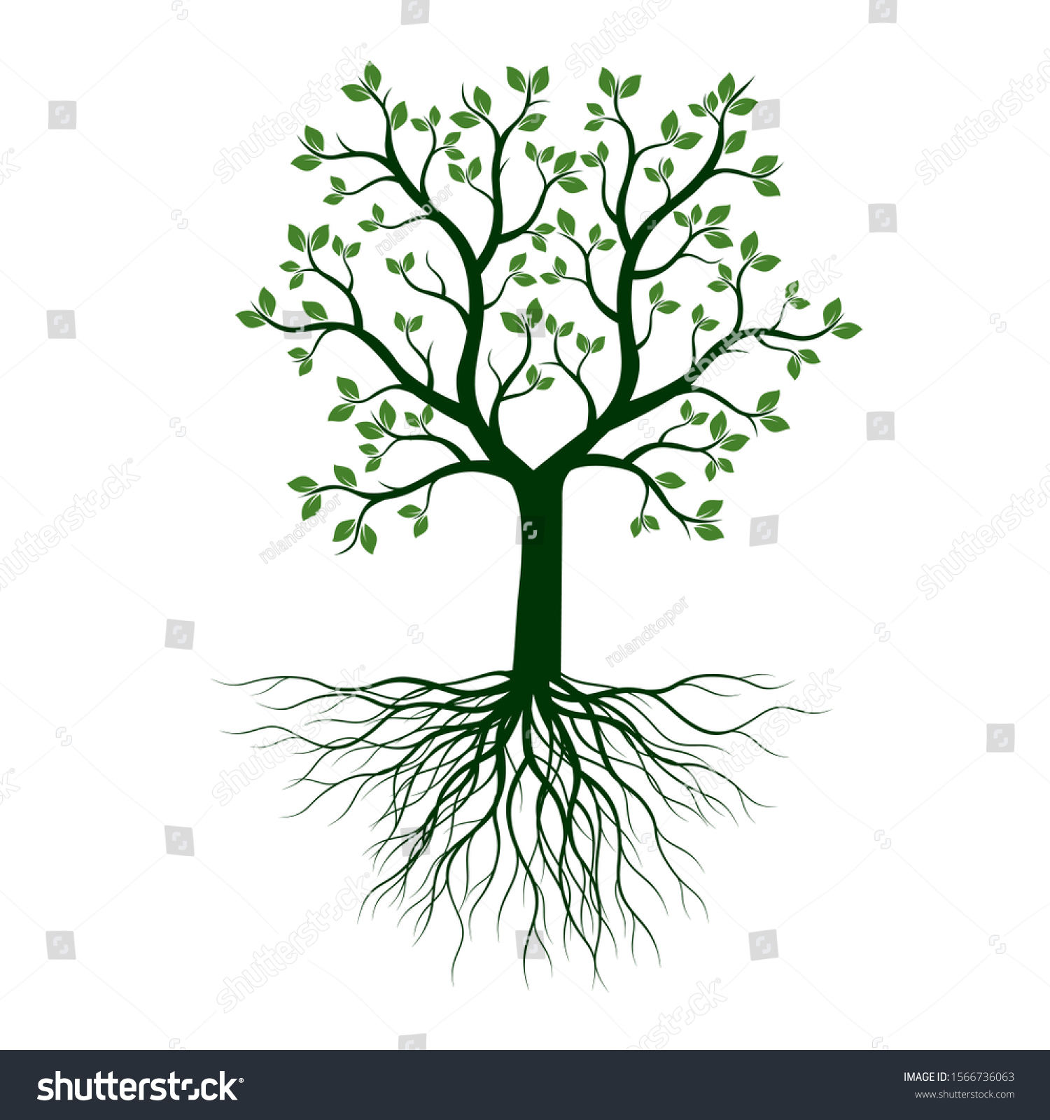 Green Tree Leaves Roots Vector Outline Stock Vector (Royalty Free ...