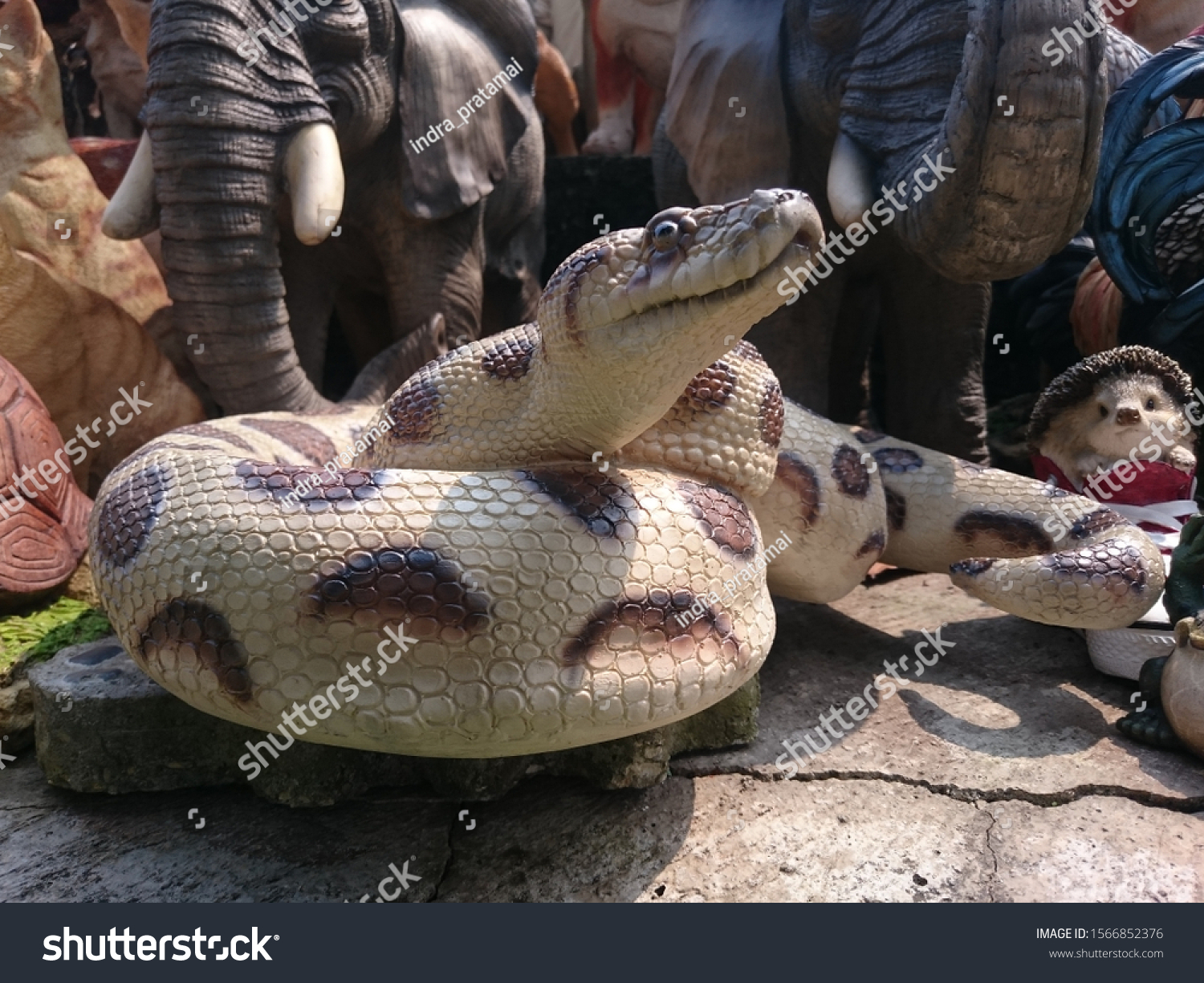 Looks Very Scary Python Dont Worry Stock Photo 1566852376 | Shutterstock