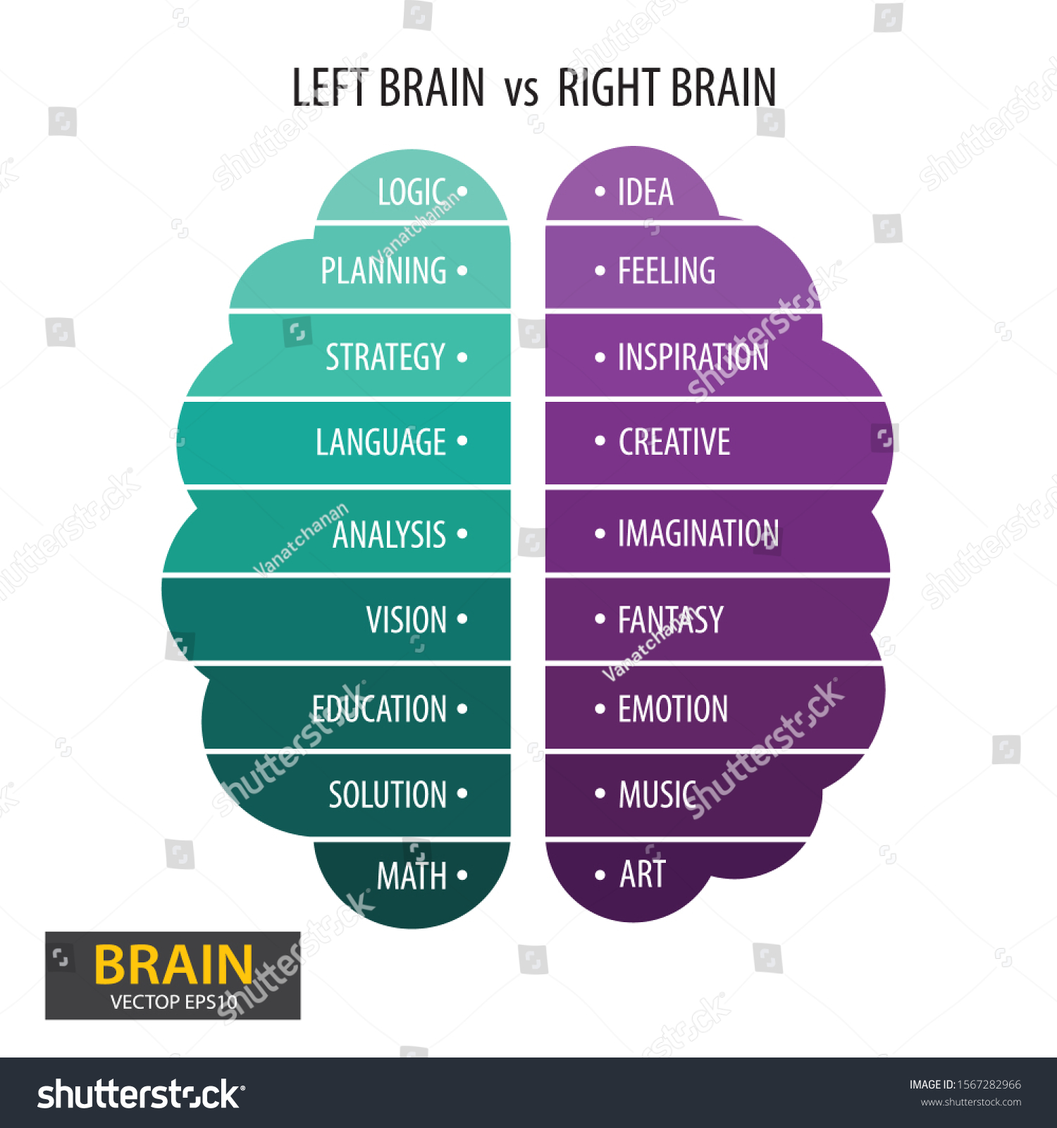 Left Right Human Brain Concept Infographics Stock Vector (Royalty Free ...