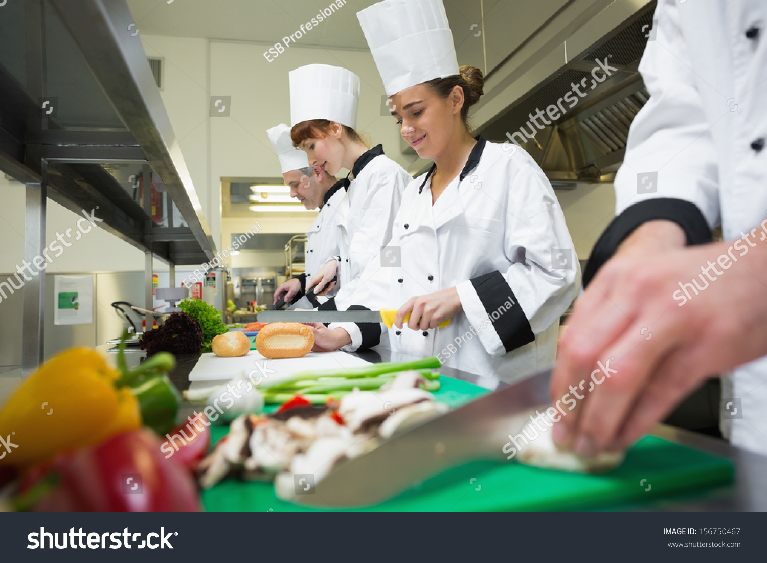 Four Chefs Preparing Food Counter Row Stock Photo 156750467 Shutterstock