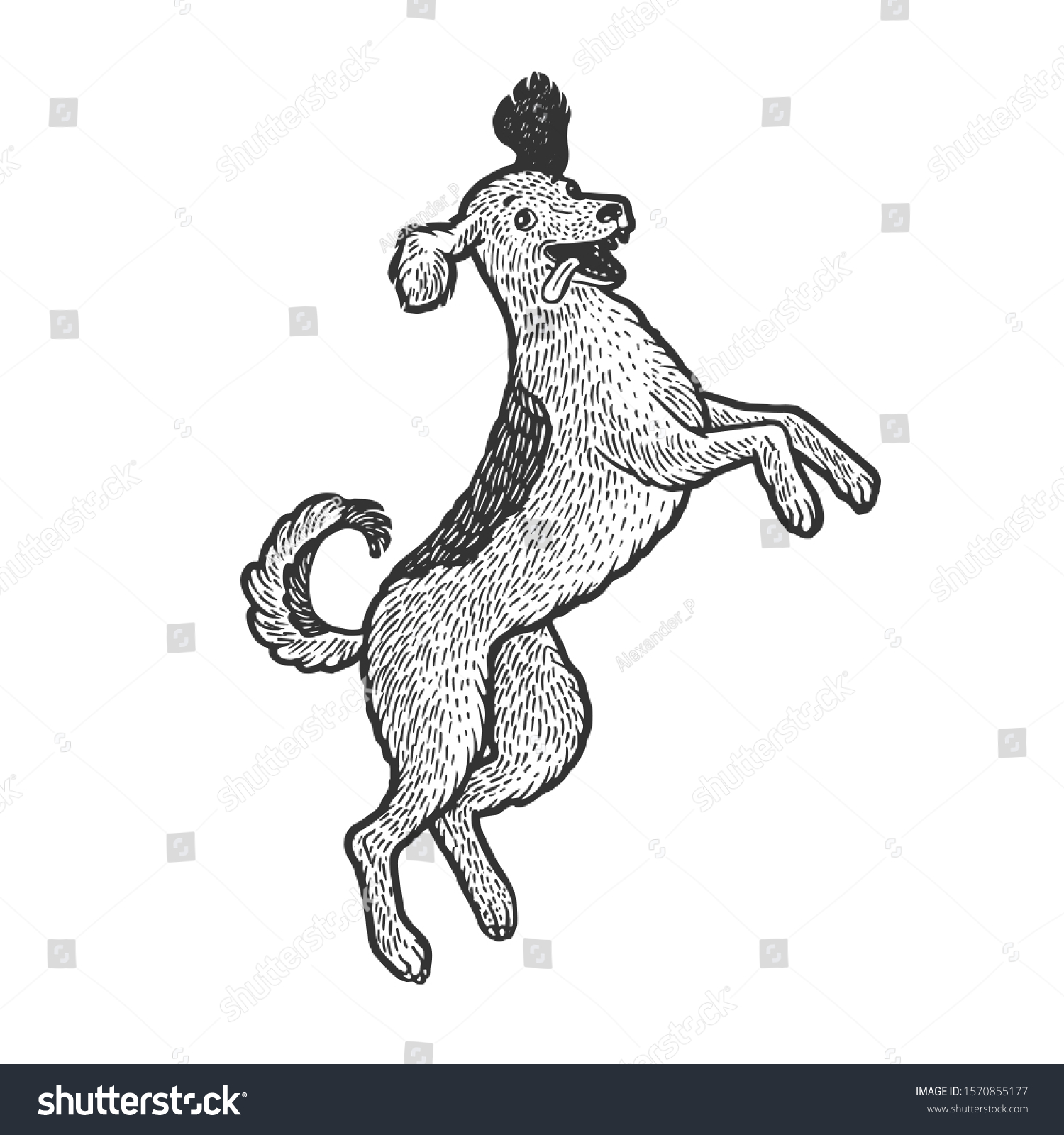 Happy Jumping Dancing Dog Pet Sketch Stock Vector (Royalty Free ...