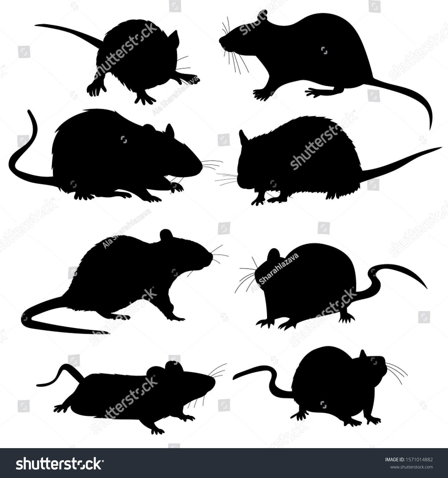 White Background Rats Mouse Rodents Silhouette Stock Vector (Royalty ...