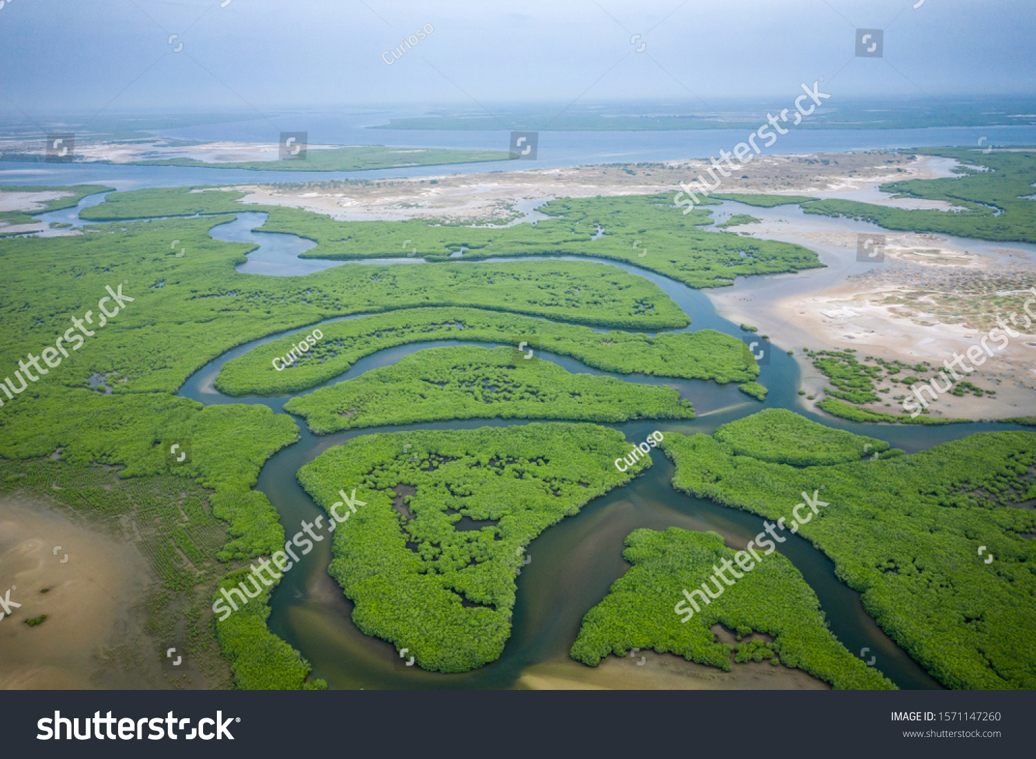 Senegal Mangroves Aerial View Mangrove Forest Stock Photo 1571147260 ...