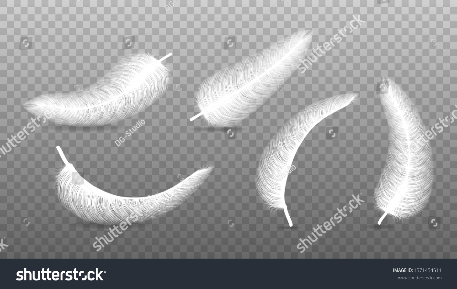 Fluffy Feather Shadow Vector Realistic Set Stock Vector (Royalty Free ...