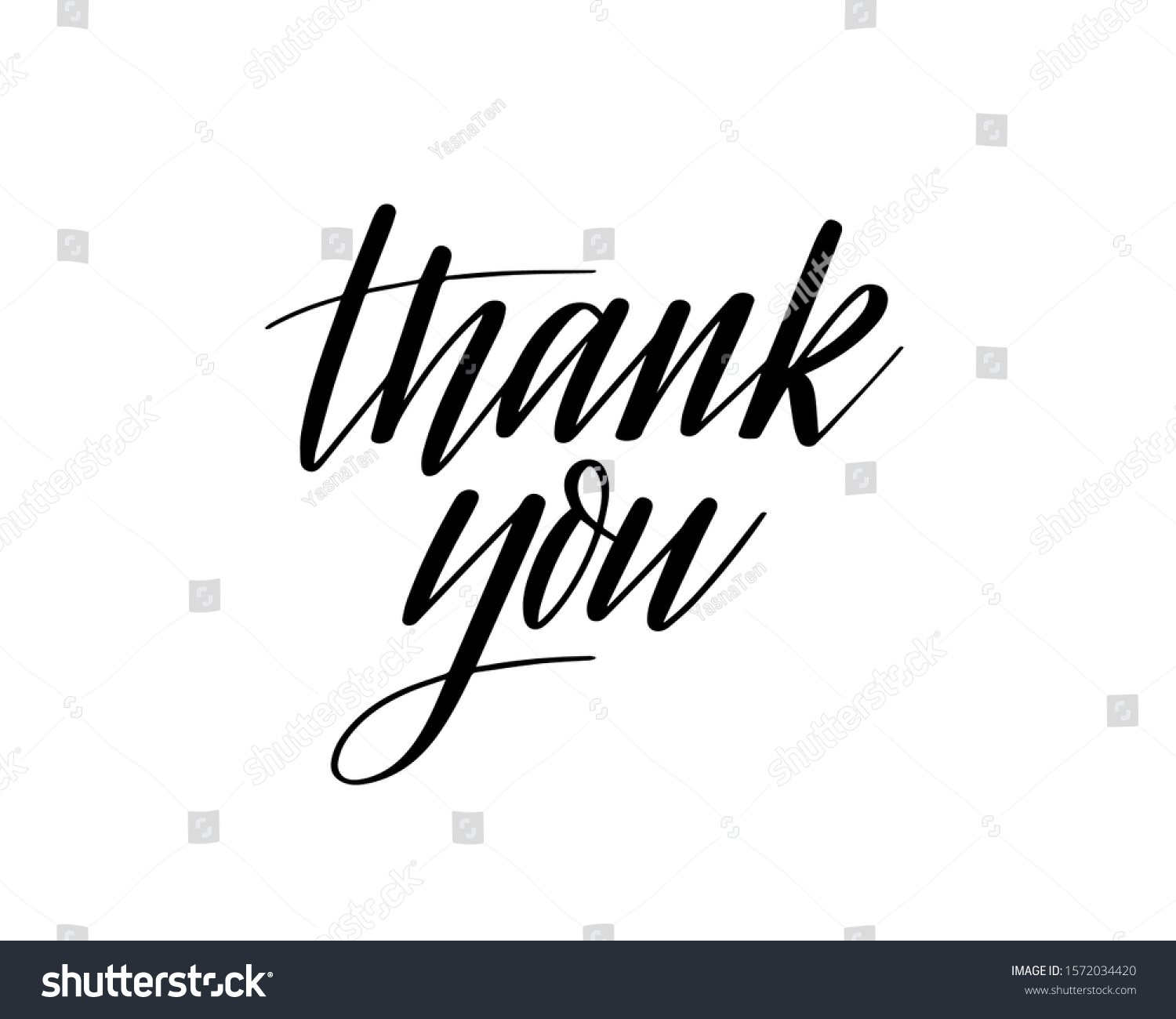 Thank You Vector Modern Calligraphy Card Stock Vector (Royalty Free ...