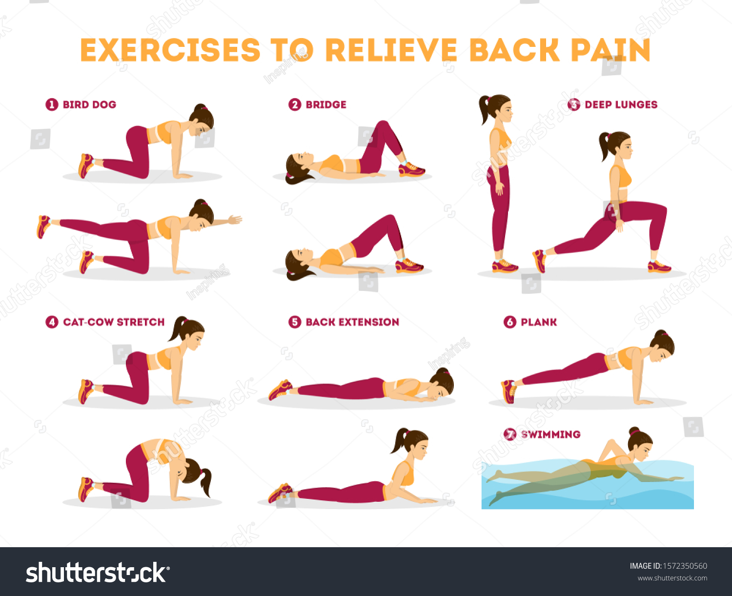 Exercise Set Relieve Back Pain Stretching Stock Illustration 1572350560 ...