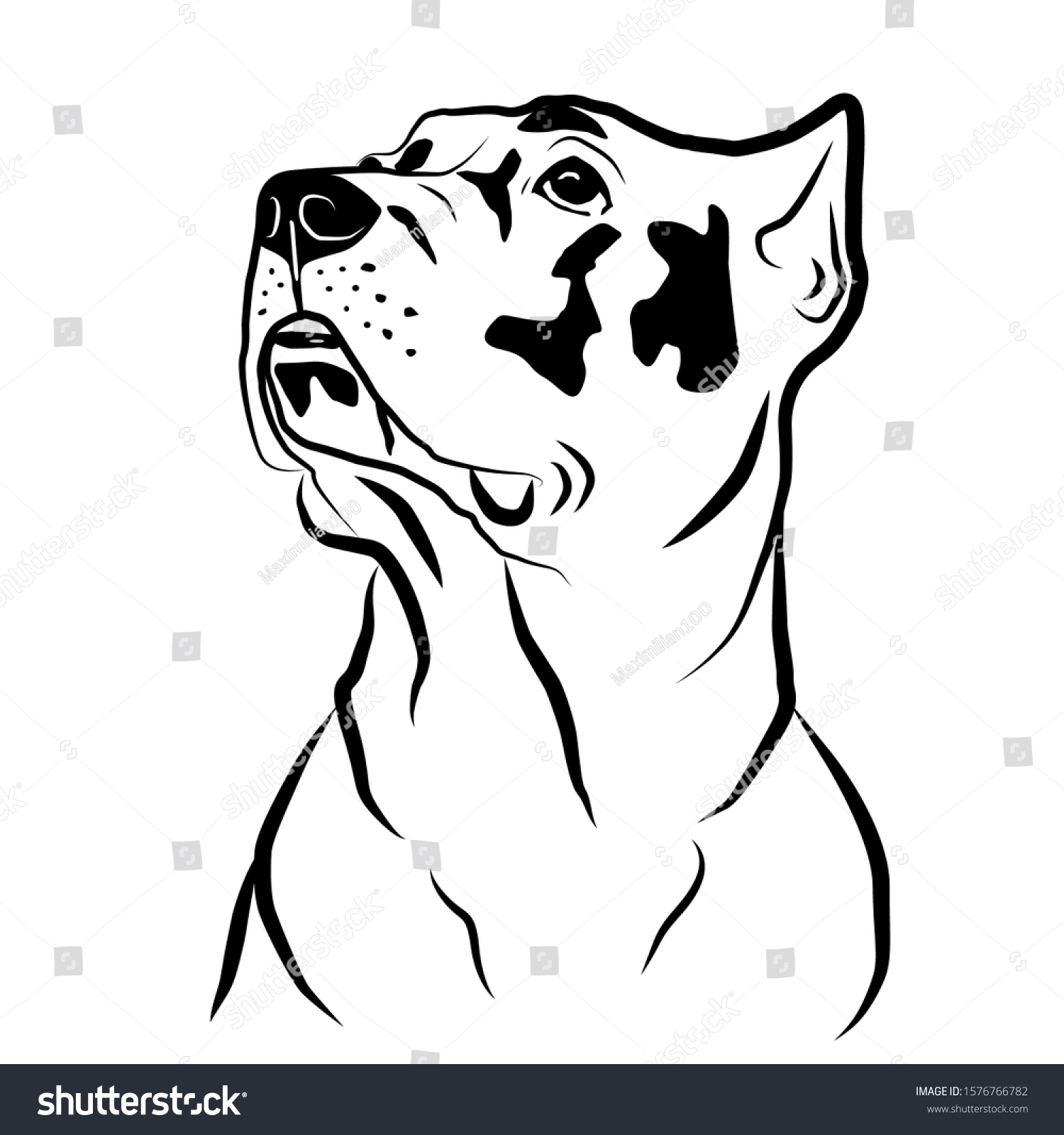 Cane Corso Dog Head Portrait Isolated Stock Vector (Royalty Free ...