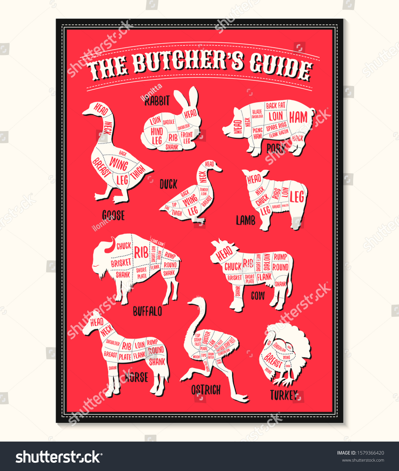 Meat Cutting Charts Butcher Diagram Guide Stock Vector (Royalty Free