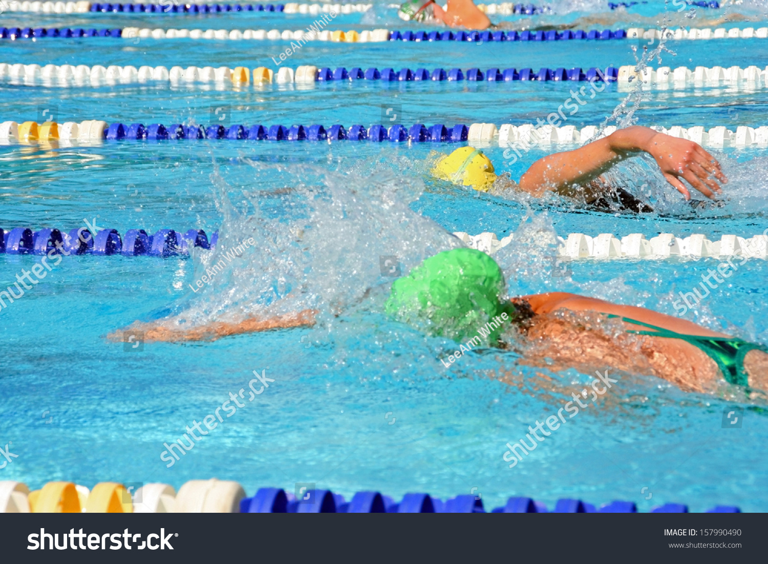 Female Swimmers Tight Freestyle Race Stock Photo 157990490 | Shutterstock