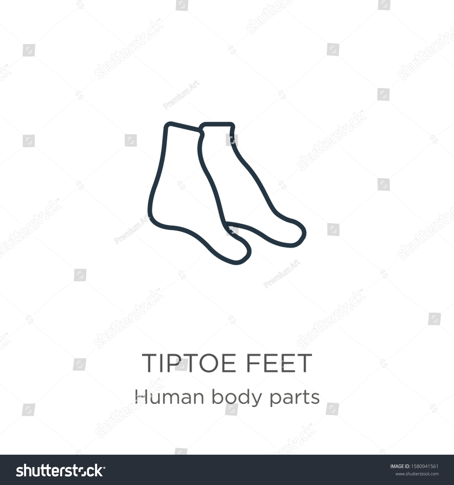 Tiptoe Feet Icon Thin Linear Tiptoe Stock Vector (Royalty Free ...