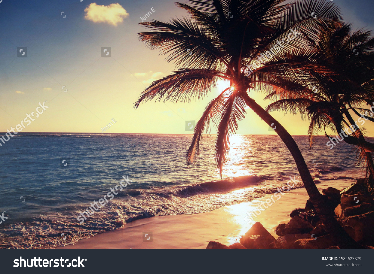 sunrise on the beach with palm trees