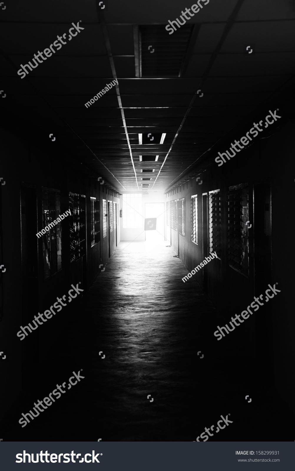 Pathway Stock Photo 158299931 | Shutterstock