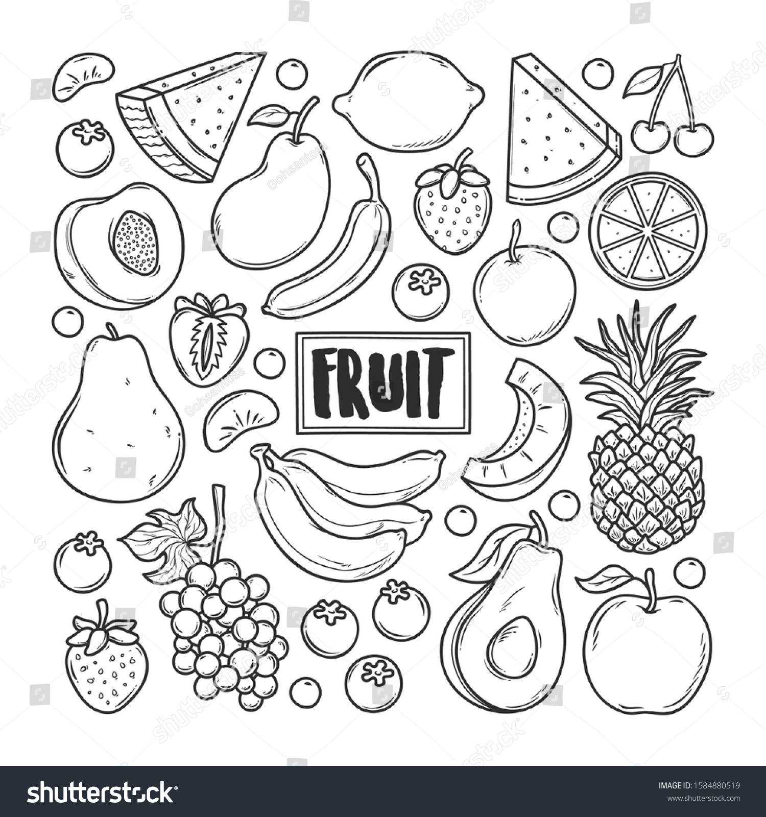 Fruit Hand Drawn Doodle Vector Stock Vector (Royalty Free) 1584880519 ...