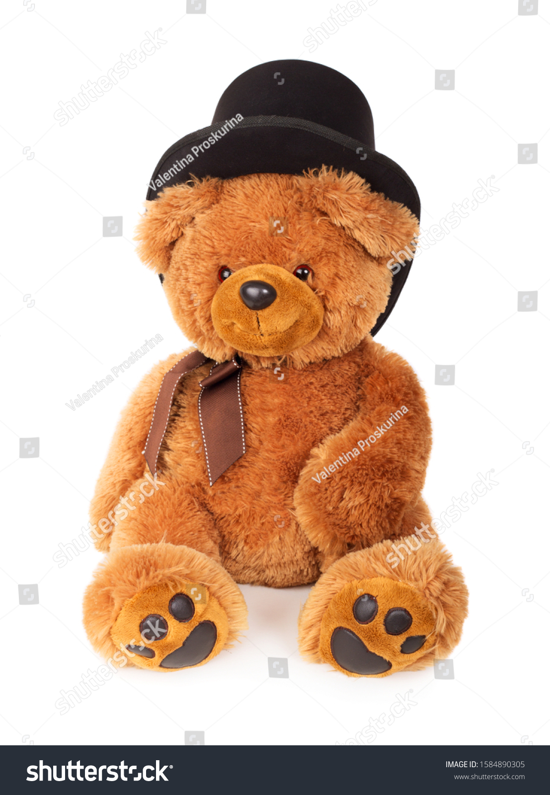 teddy bear with hat