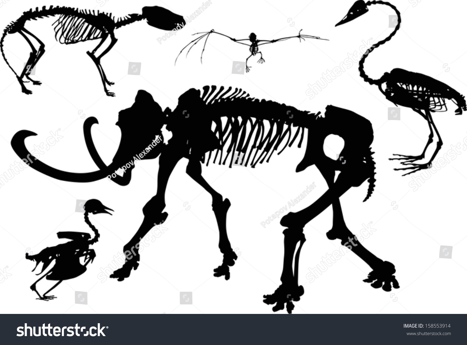 Мультяшные скелеты животных