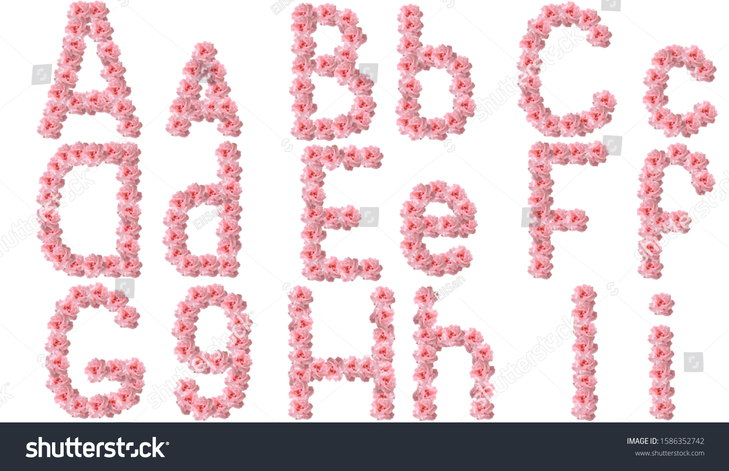 English Alphabet Flowers Pink Roses Letter Stock Photo 1586352742 ...