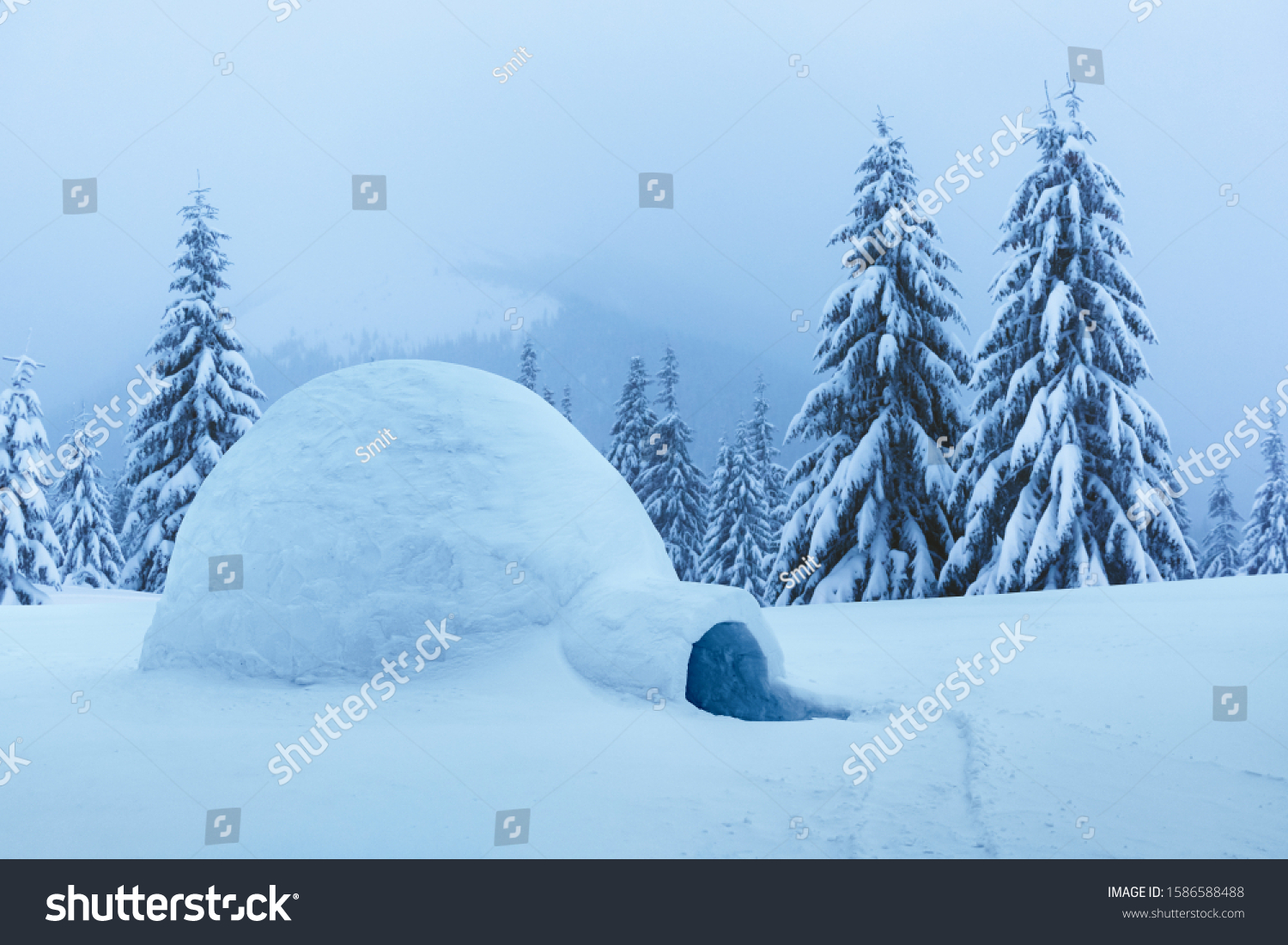 Real Snow Igloo House Winter Mountains Stock Photo 1586588488 