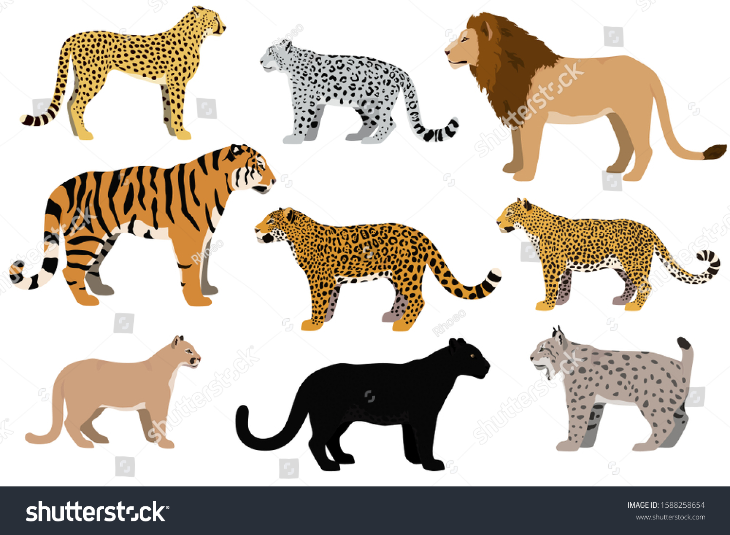 Гепард леопард Ягуар Пума пантера