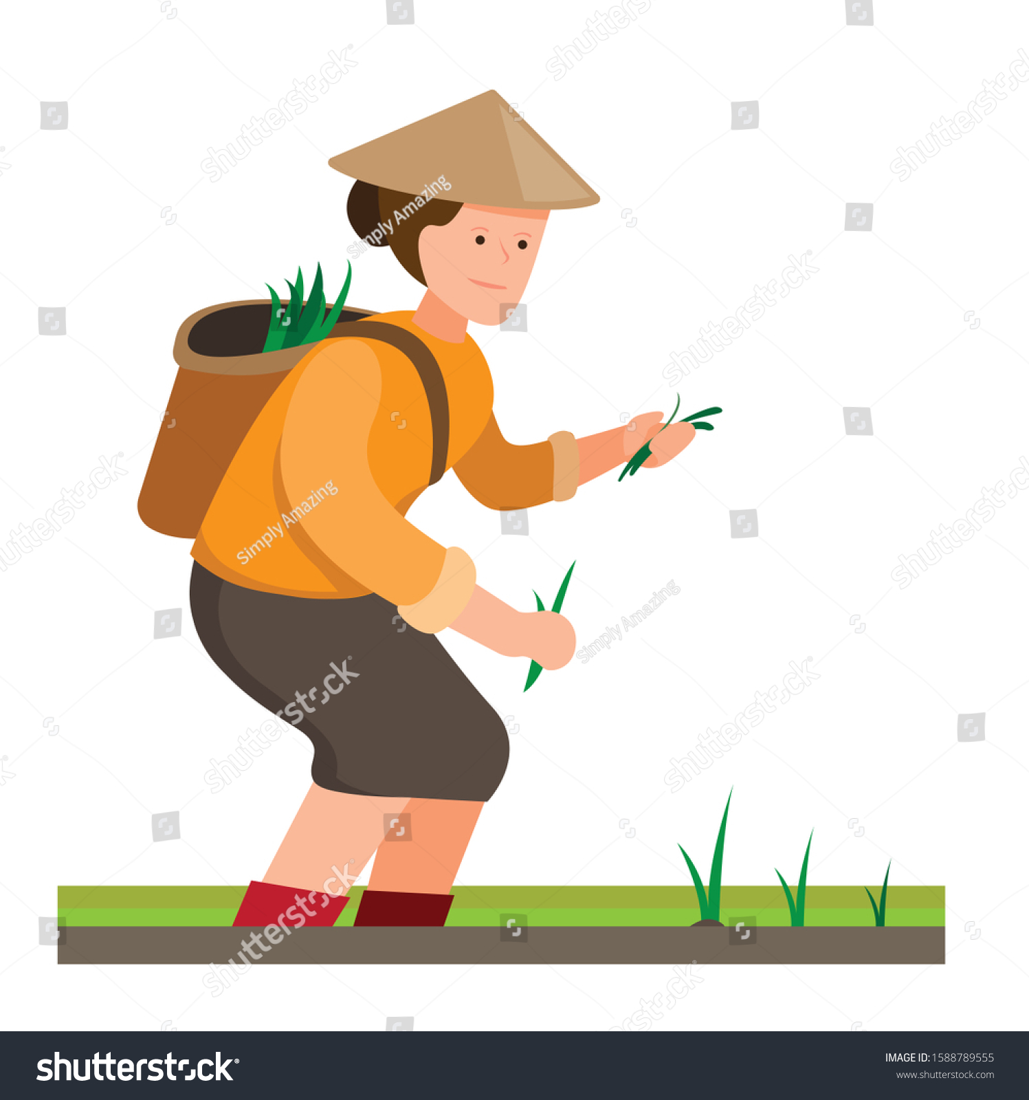 Asian Woman Rice Farmer Plant Seeds Stock Vector (Royalty Free ...