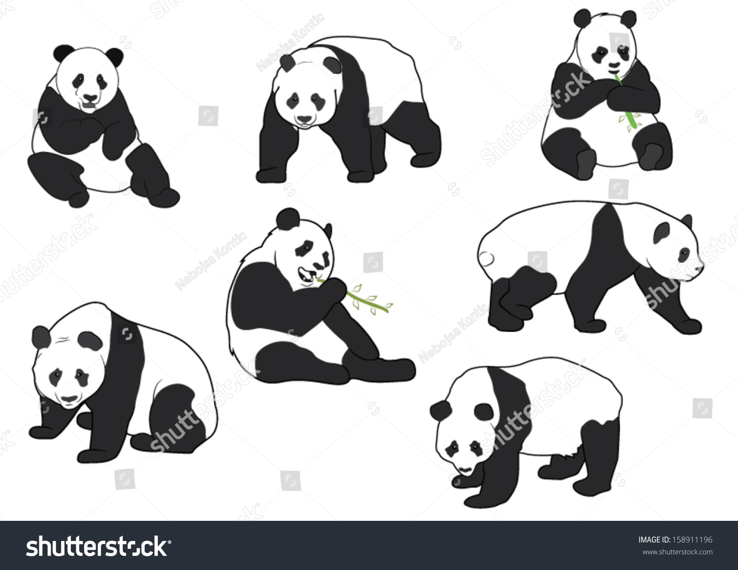 Панда в разных позах