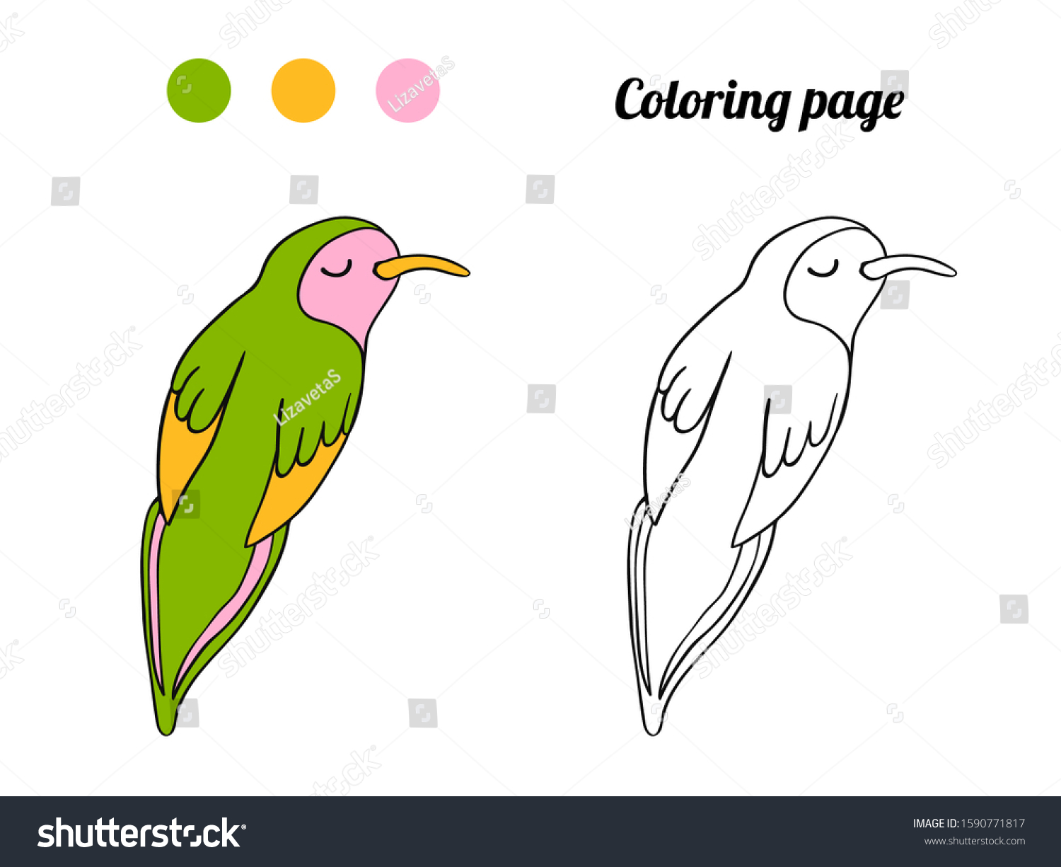 cute bird coloring