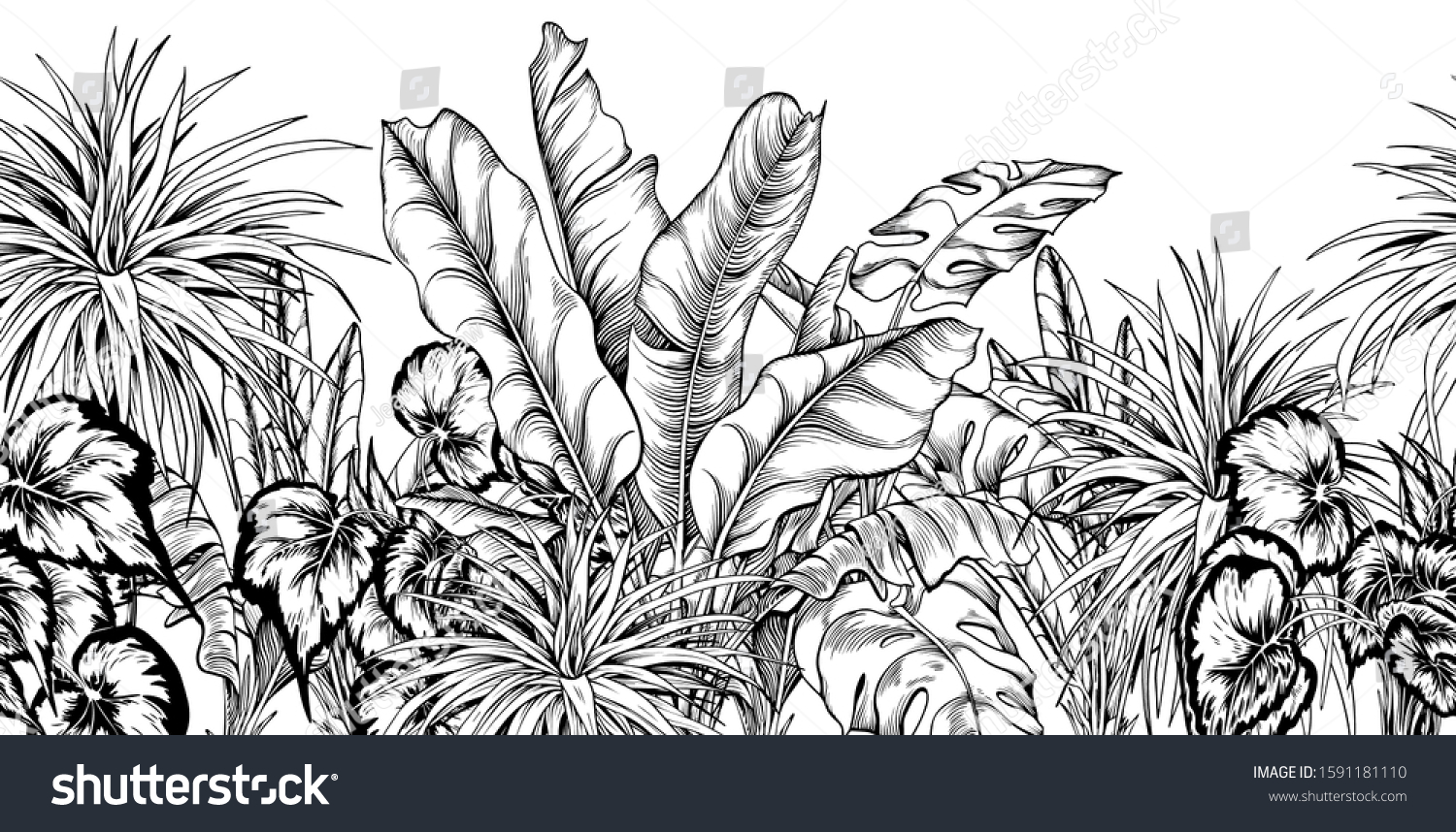 Seamless Border Different Tropical Plants Black Stock Vector (Royalty ...