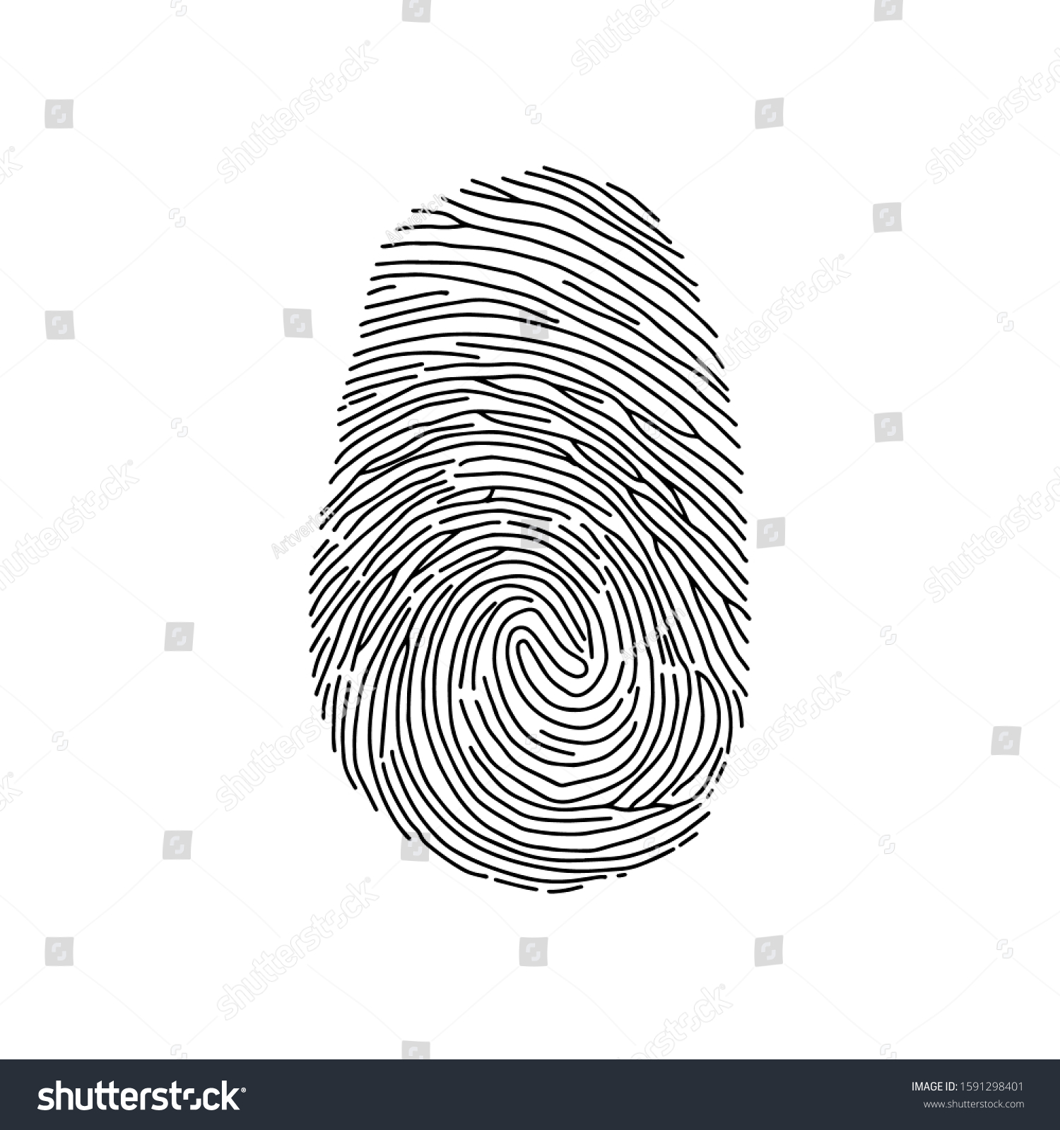 Human Fingerprint Isolated On White Backgroundoutline Stock Vector ...