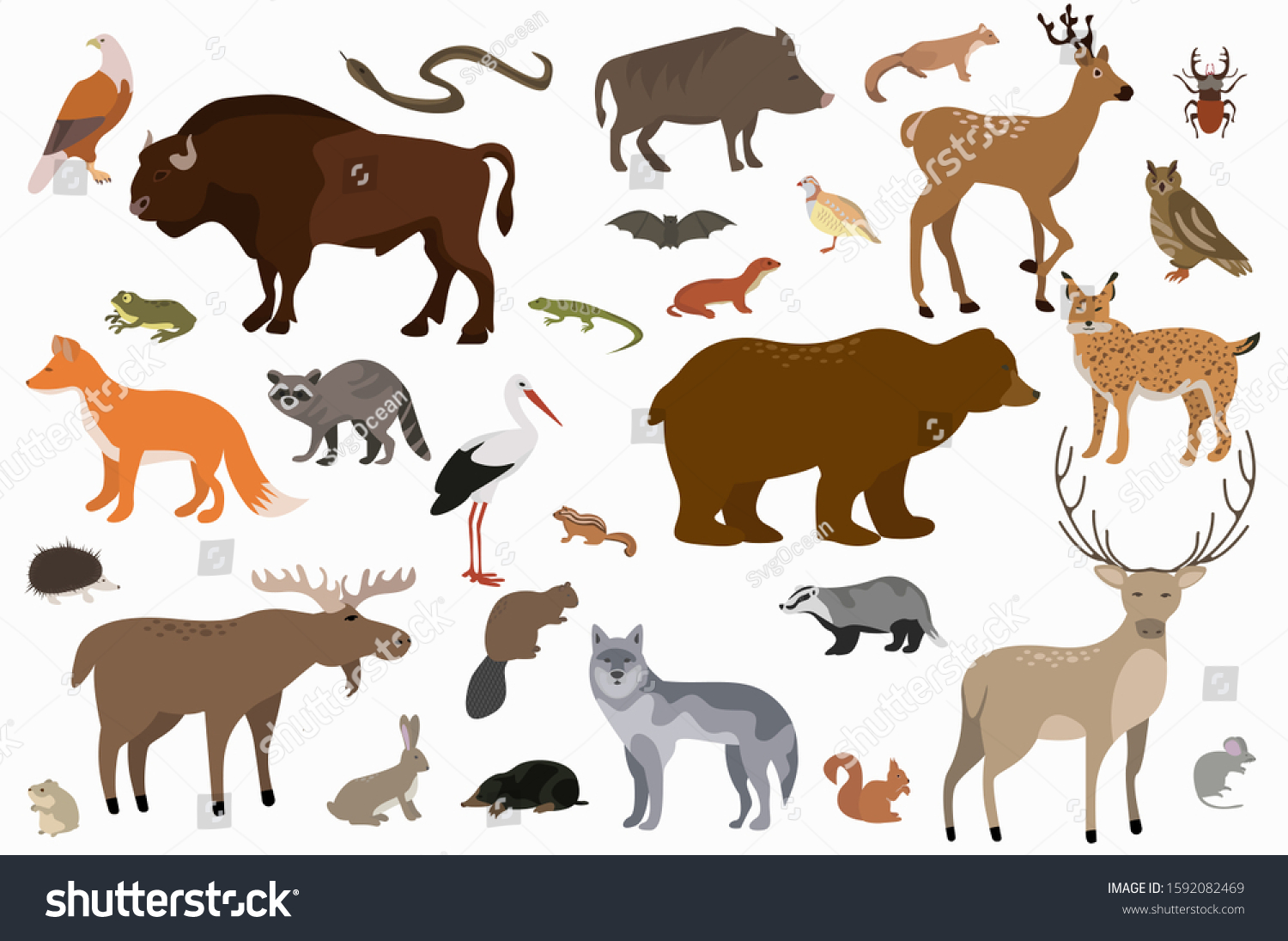 Set Forest Animals Vector Cute Bundle Stock Vector (Royalty Free ...