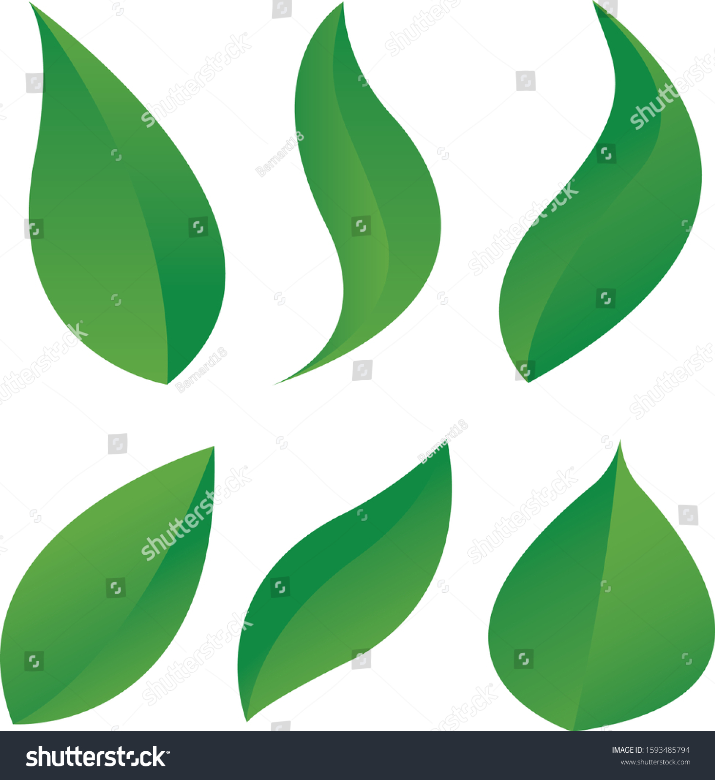 single green leaves clipart