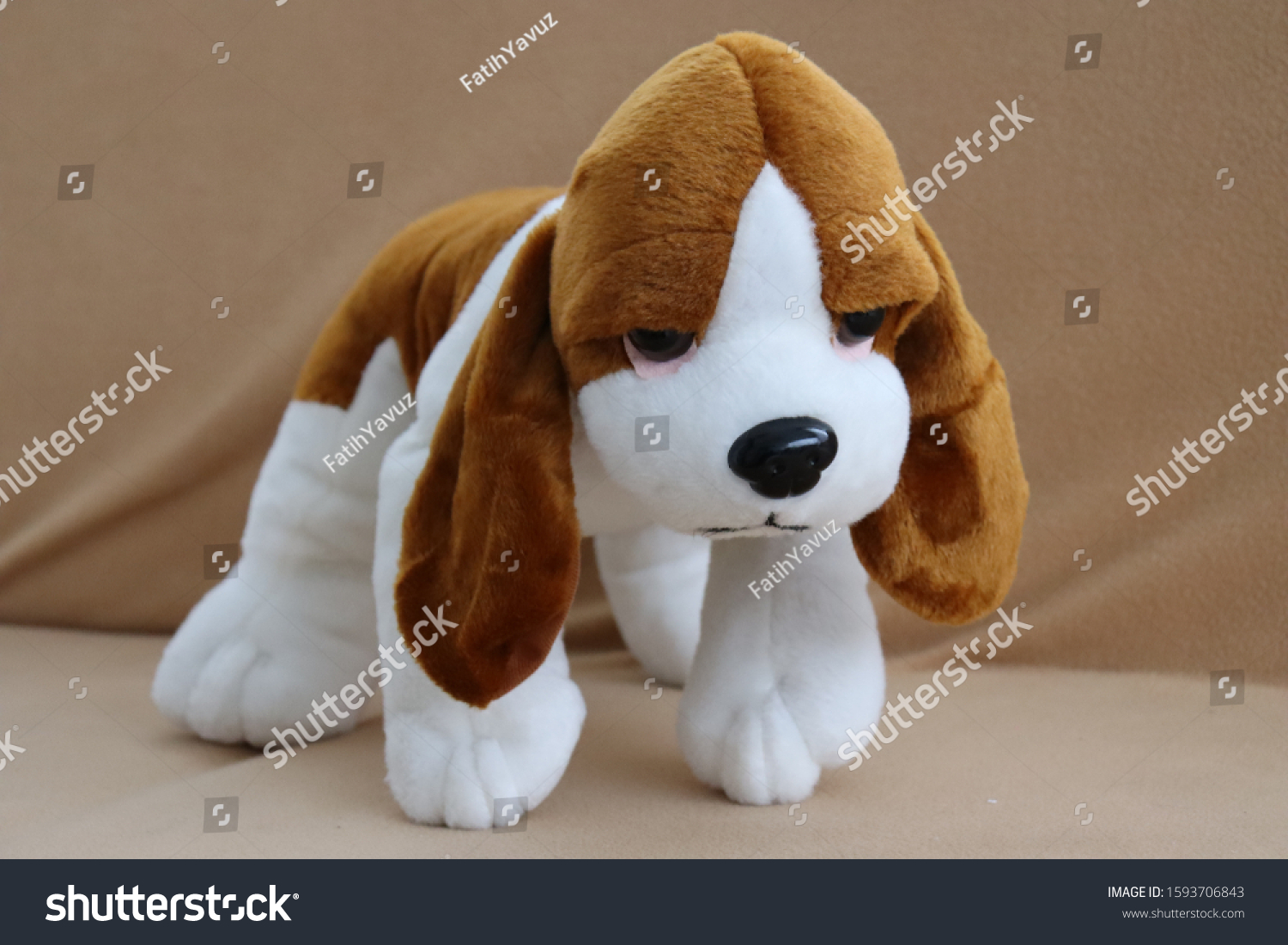 white and brown dog stuffed animal