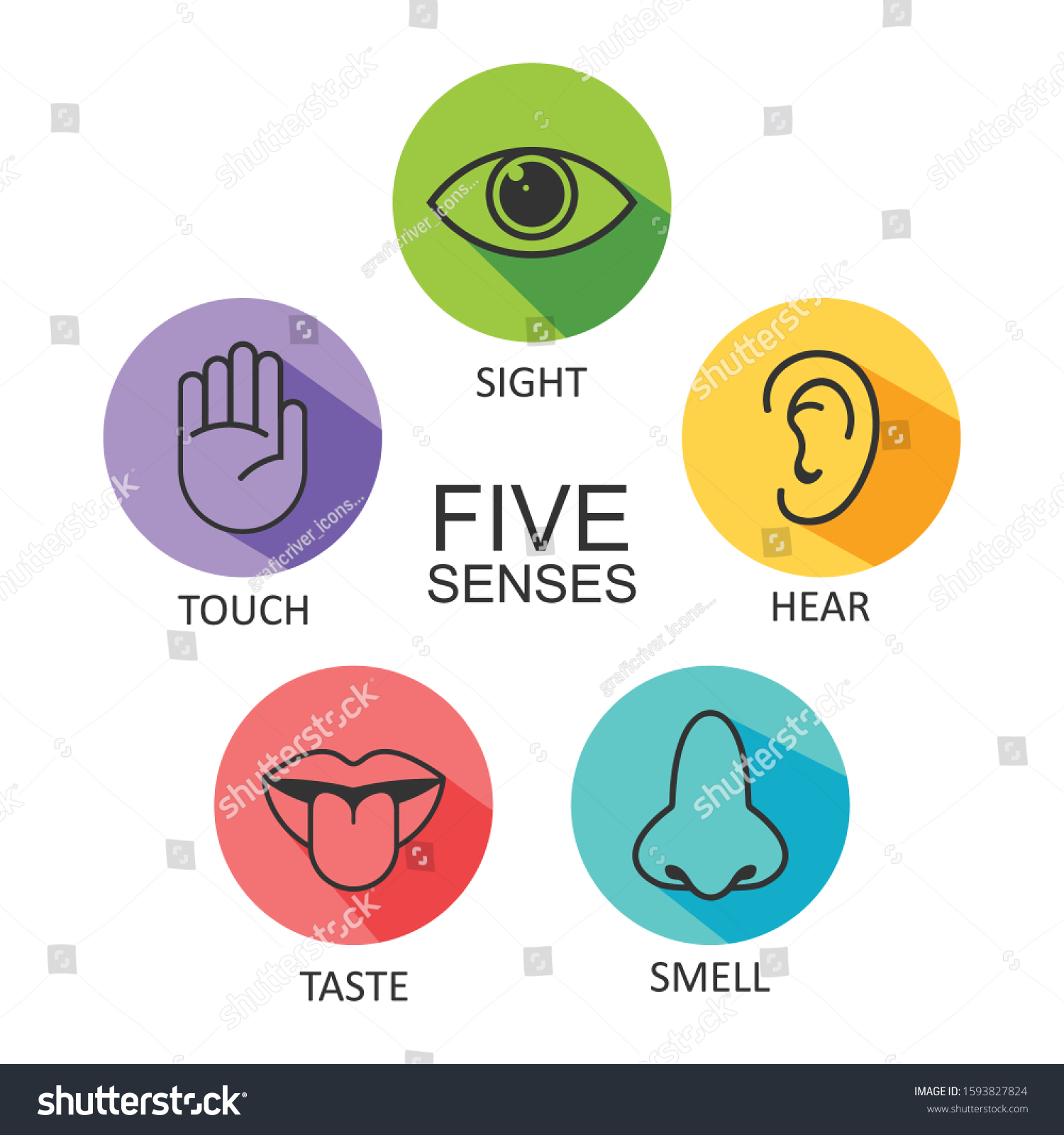 Five Senses Human Nervous System Icon Stock Vector (Royalty Free ...