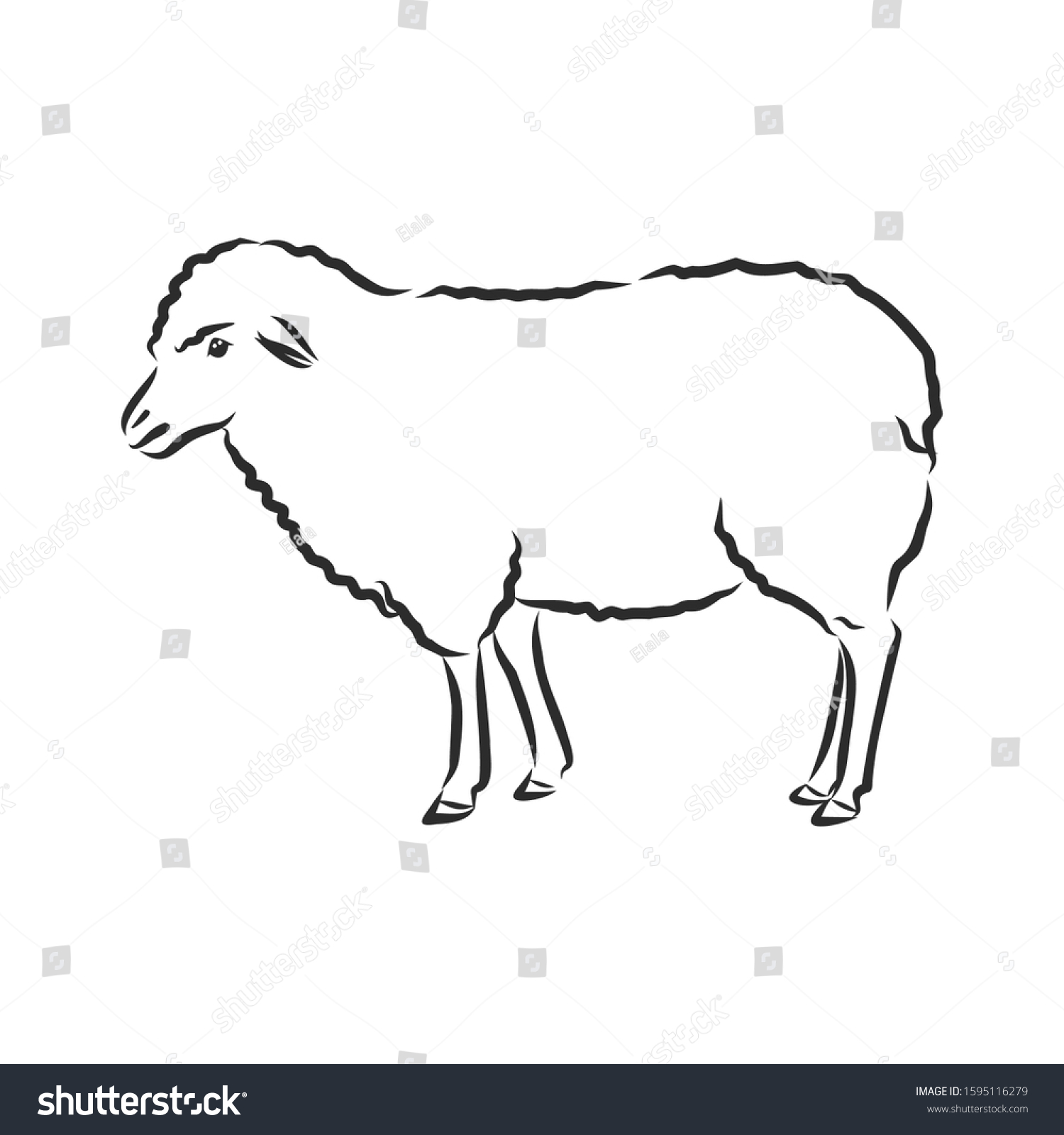 Sheep Domestic Animal Vector Illustration Sketch Stock Vector (royalty 